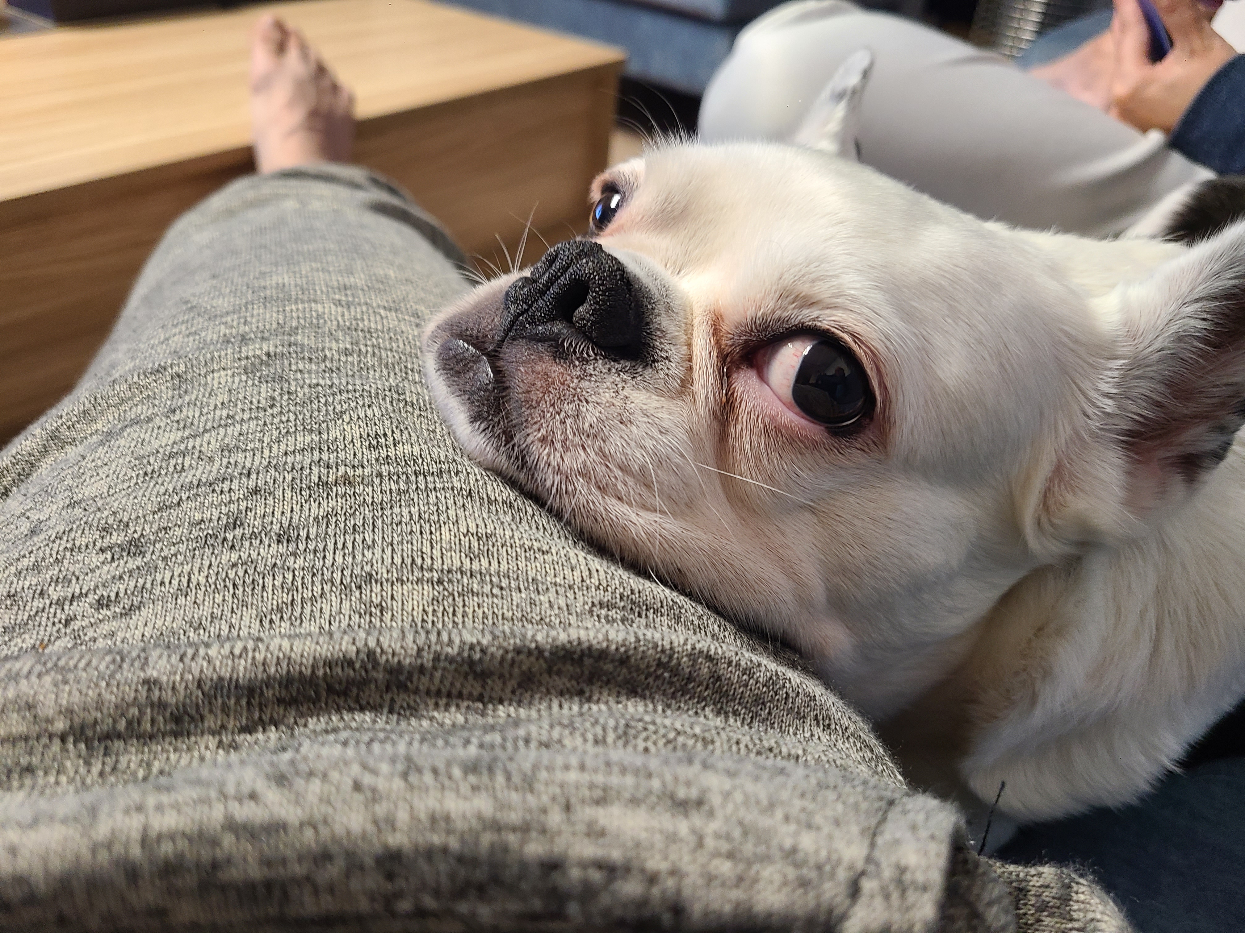 애둥이 가족 2주년 축하!!!