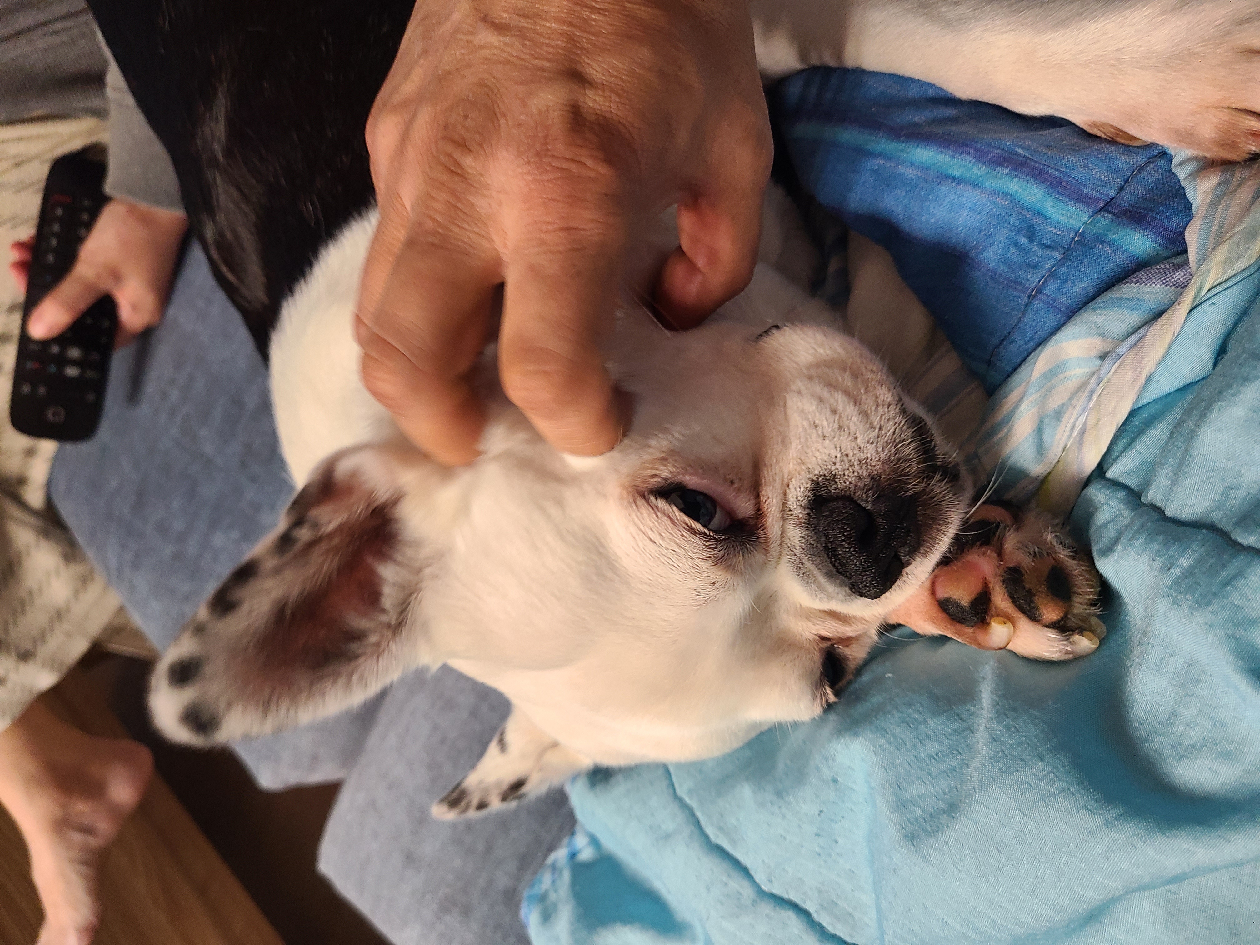 애둥이 가족 2주년 축하!!!