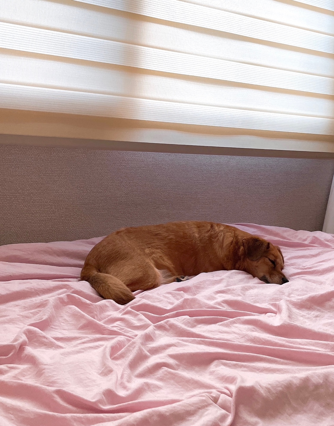 도담이 넘 잘 지내고 있어요~여행중입니다^^