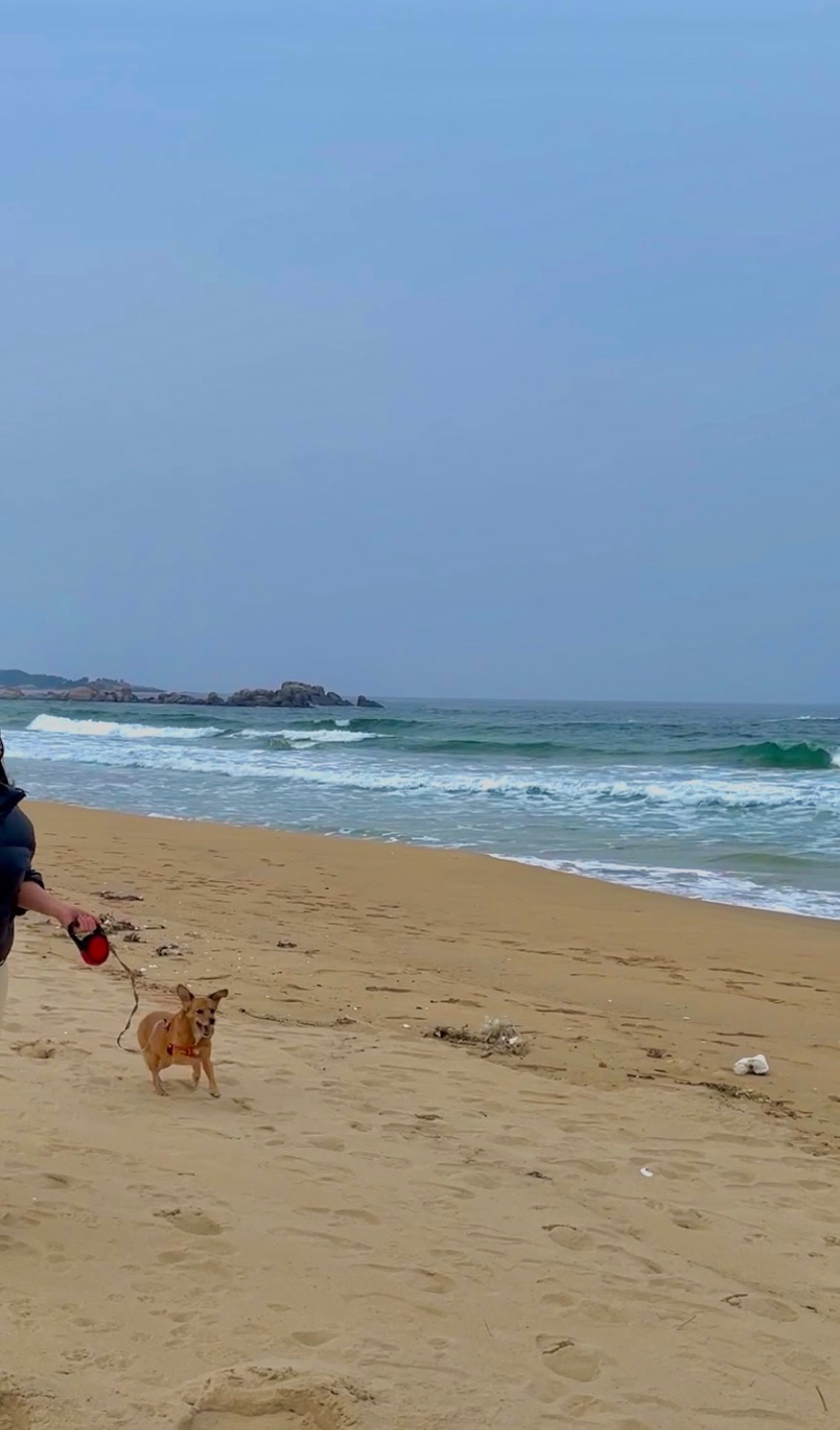 도담이 넘 잘 지내고 있어요~여행중입니다^^