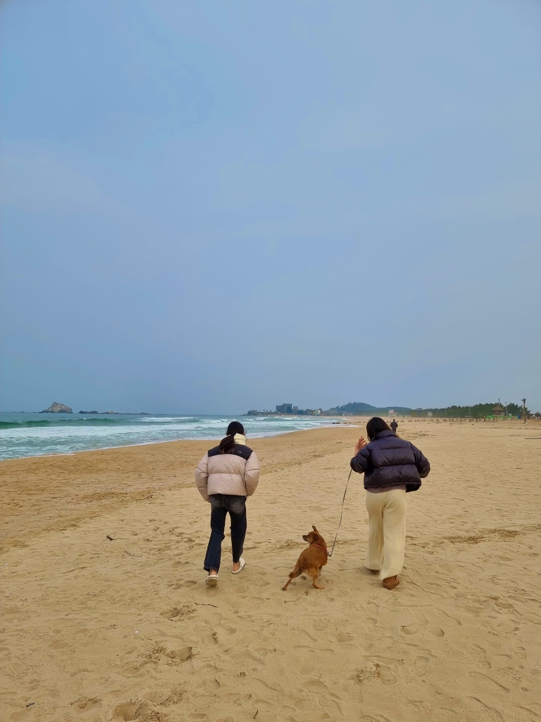 도담이 넘 잘 지내고 있어요~여행중입니다^^