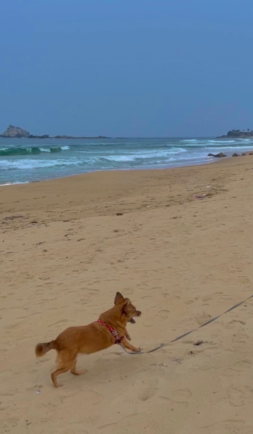 도담이 넘 잘 지내고 있어요~여행중입니다^^