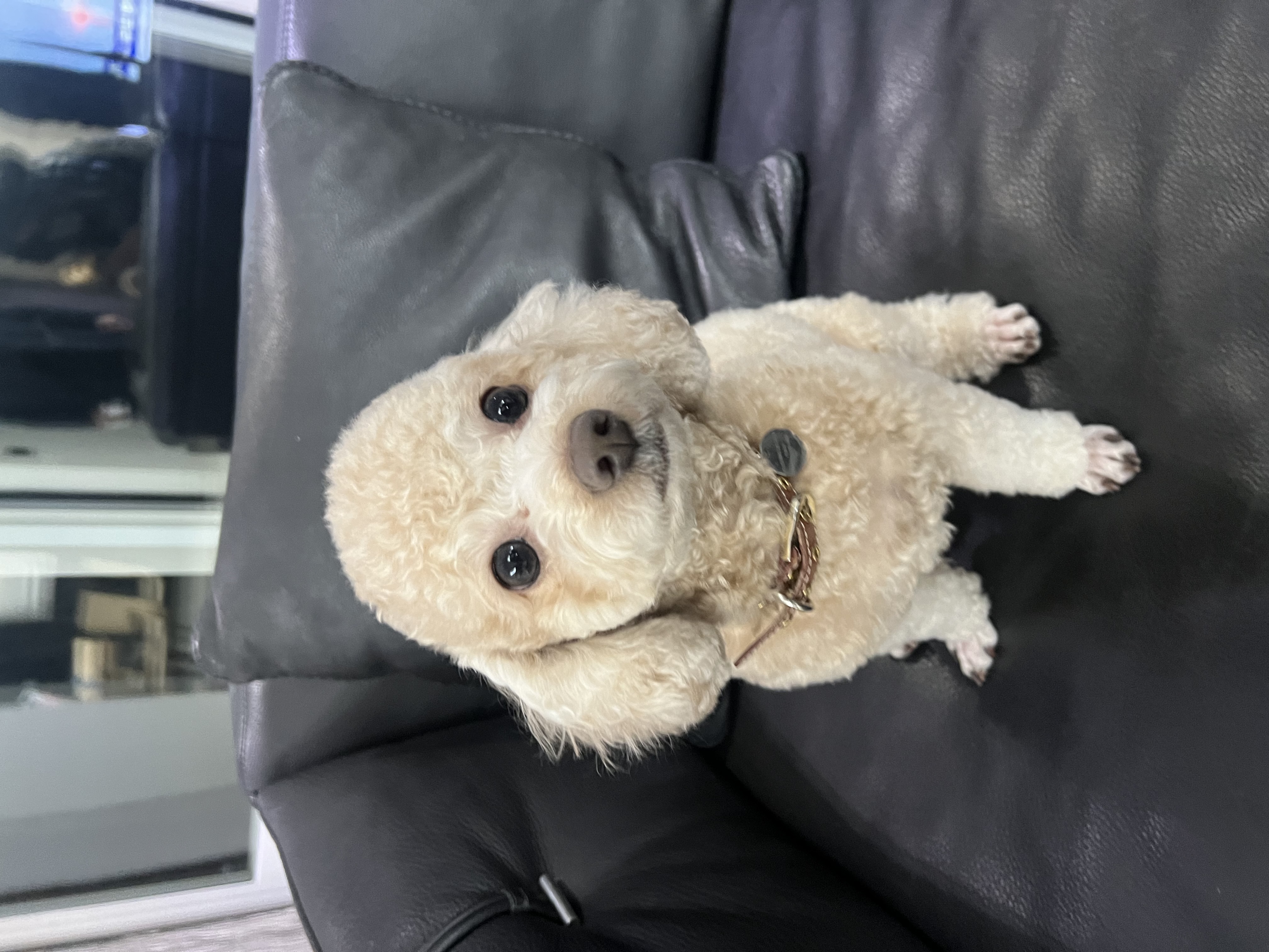 해리 1년 후기에요