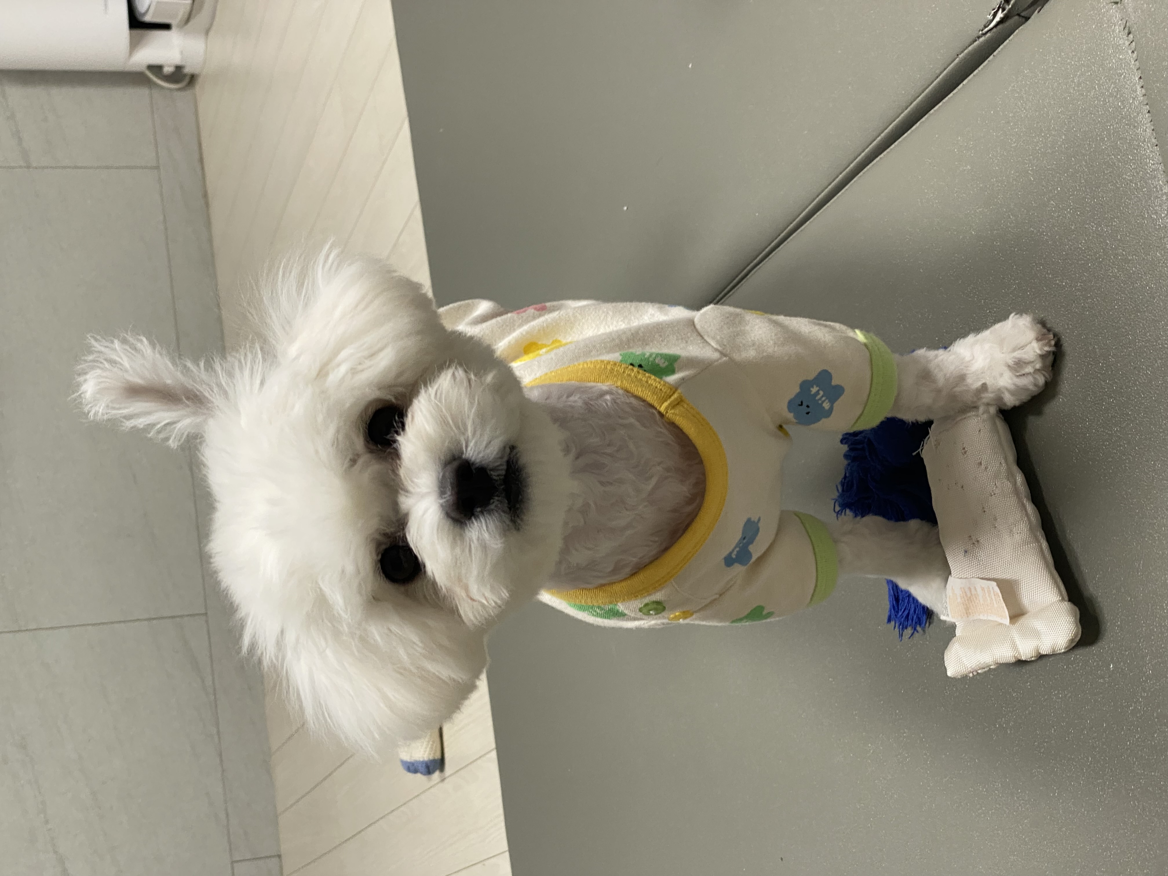 쿵이(양일이)의 두번째 이야기