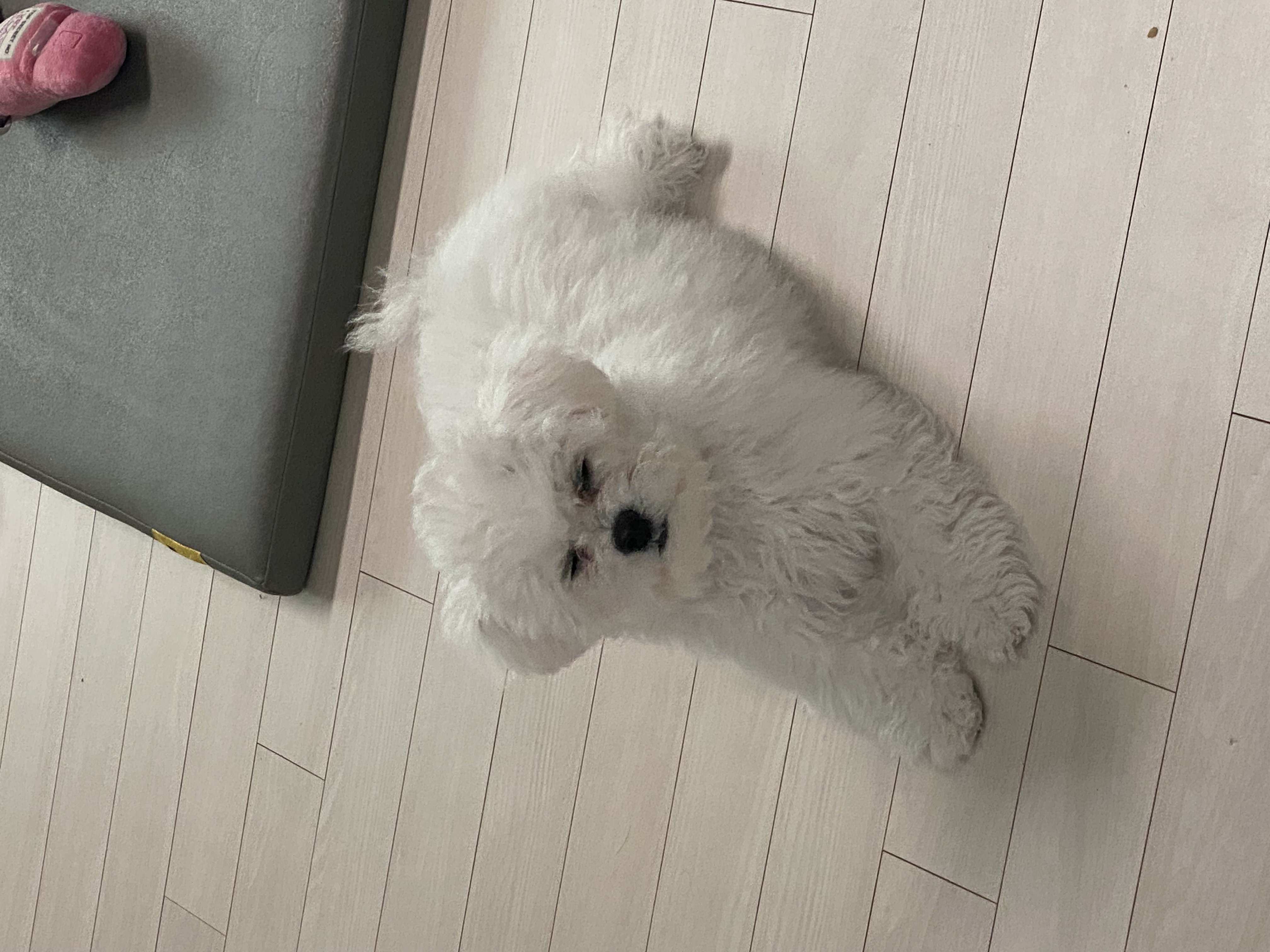 쿵이(양일이)의 두번째 이야기