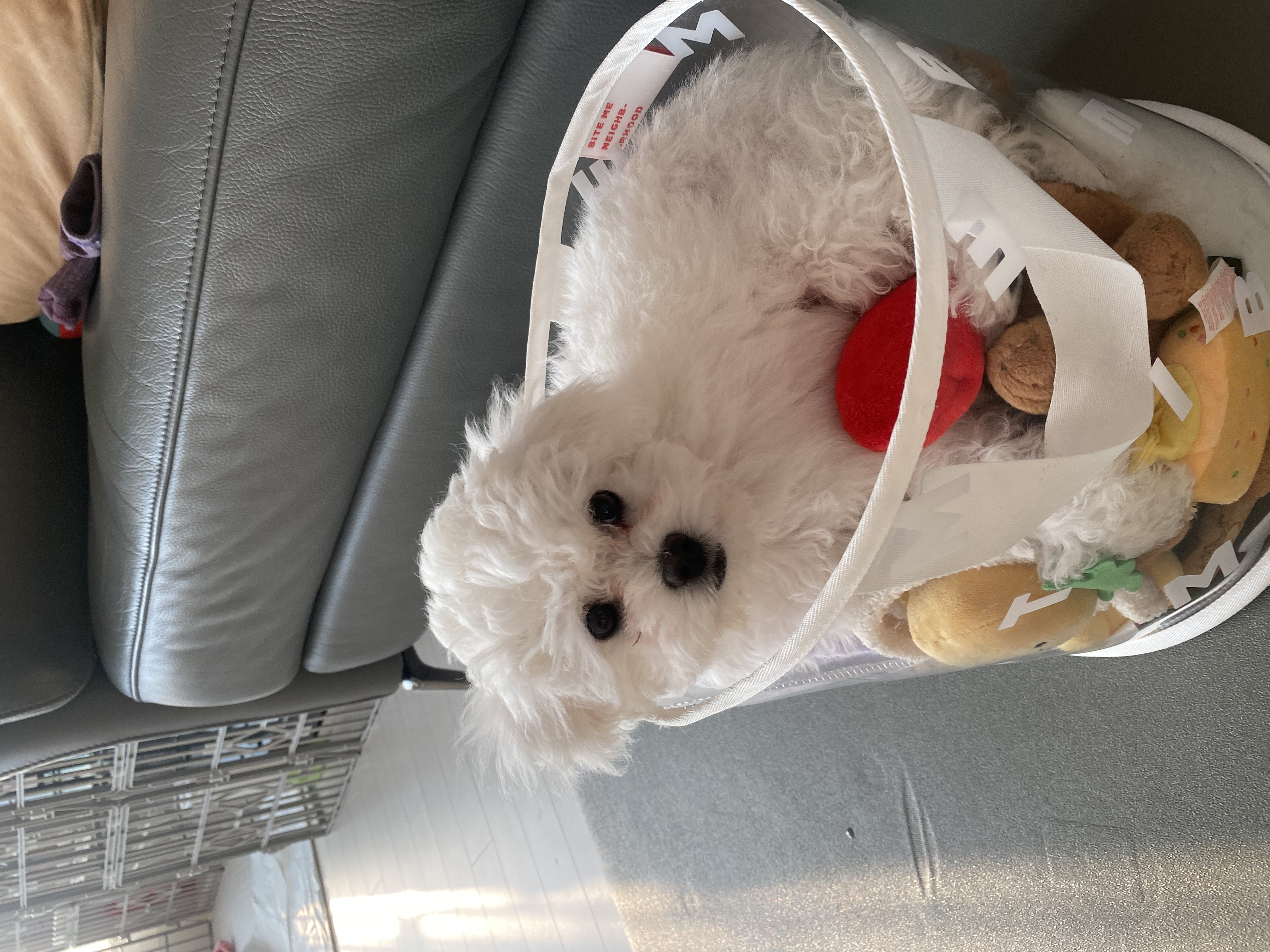 쿵이(양일이)의 두번째 이야기