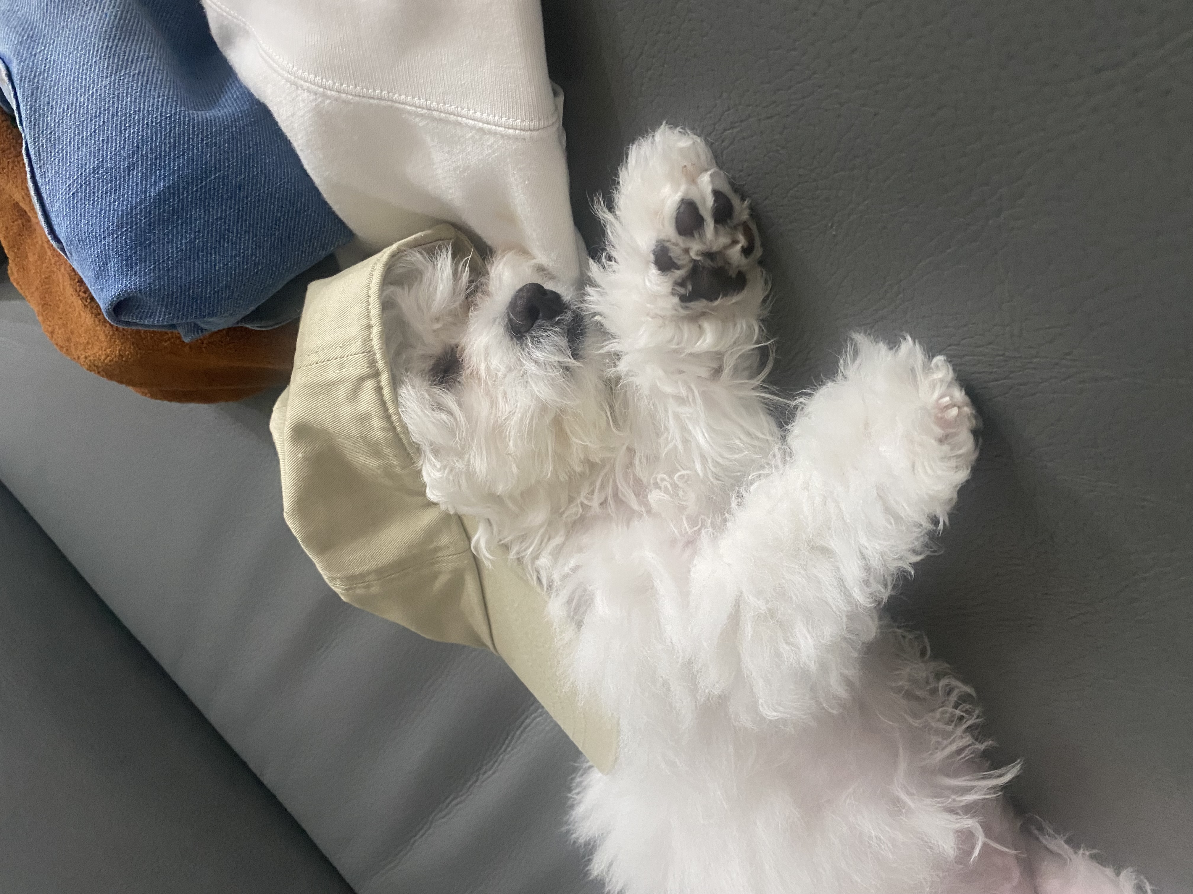 쿵이(양일이)의 두번째 이야기