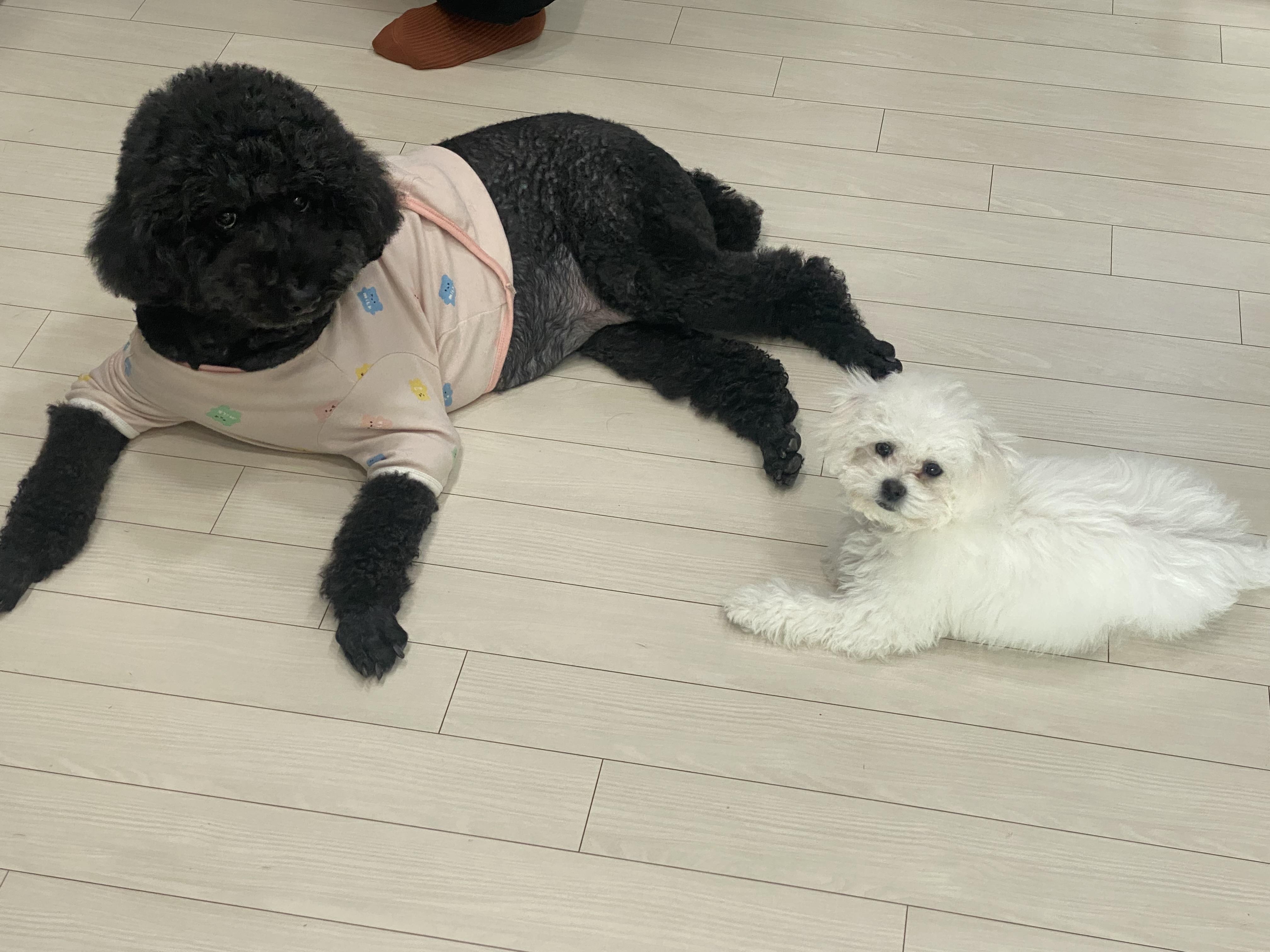 쿵이(양일이)의 두번째 이야기