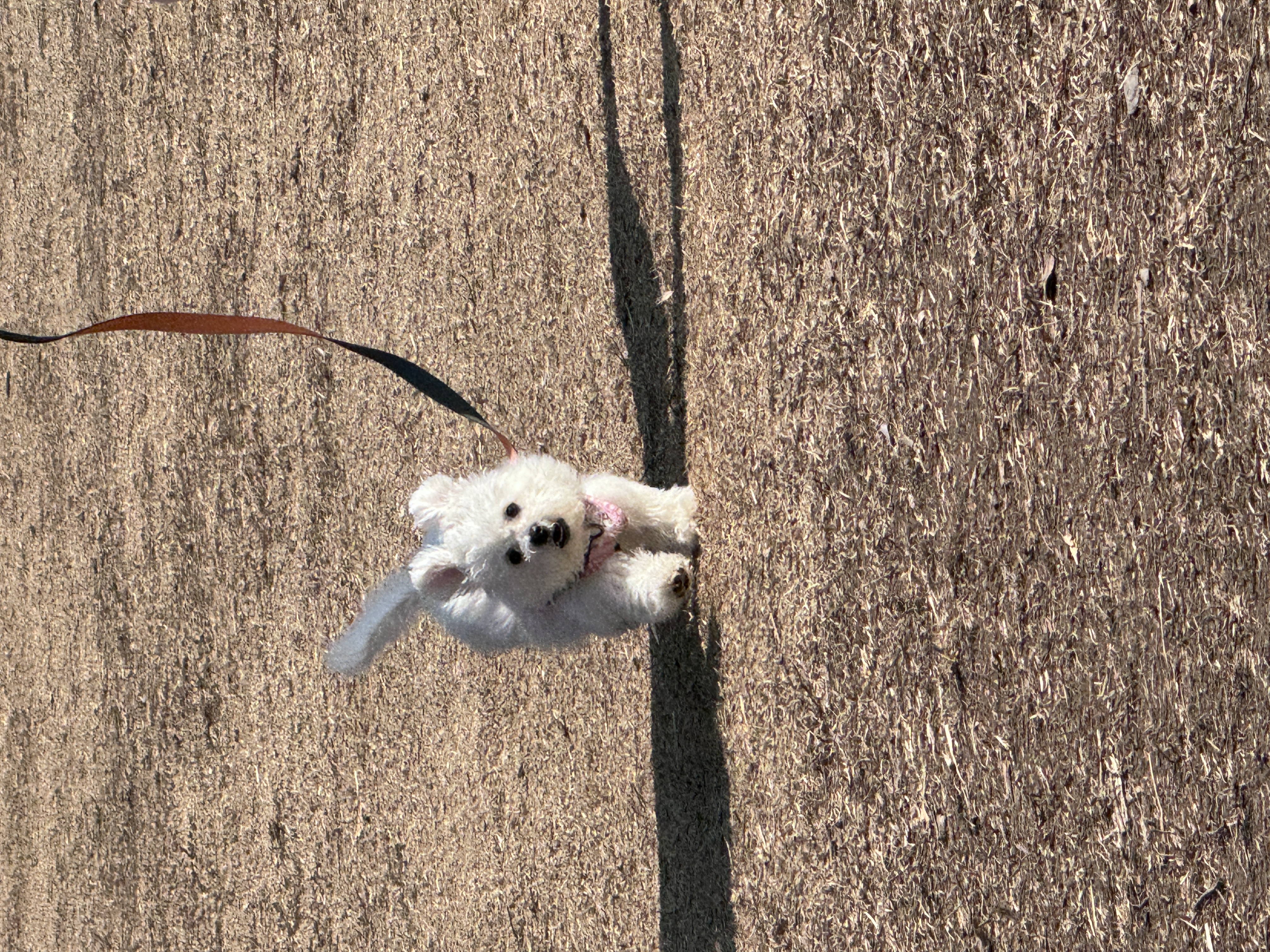 쿵이(양일이)의 두번째 이야기
