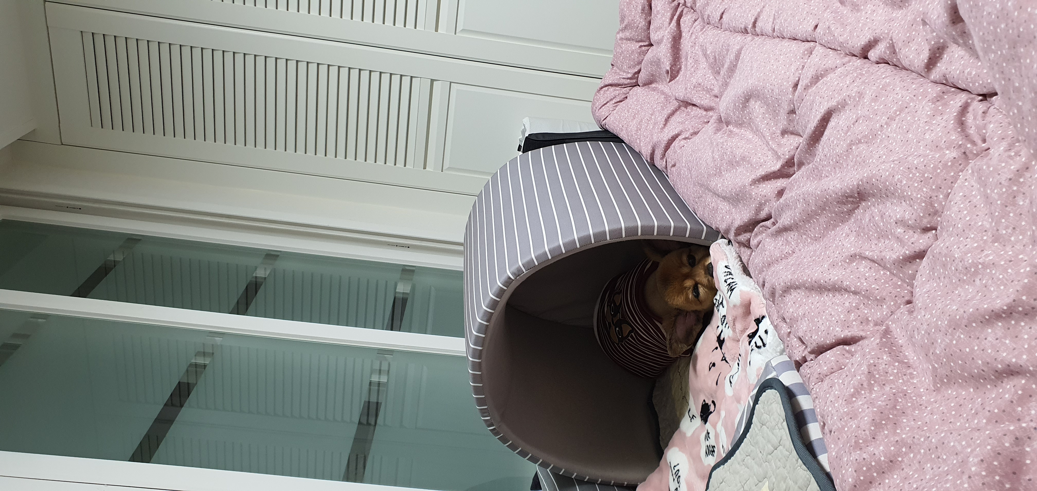 멜론이 3년차  넘깁니다