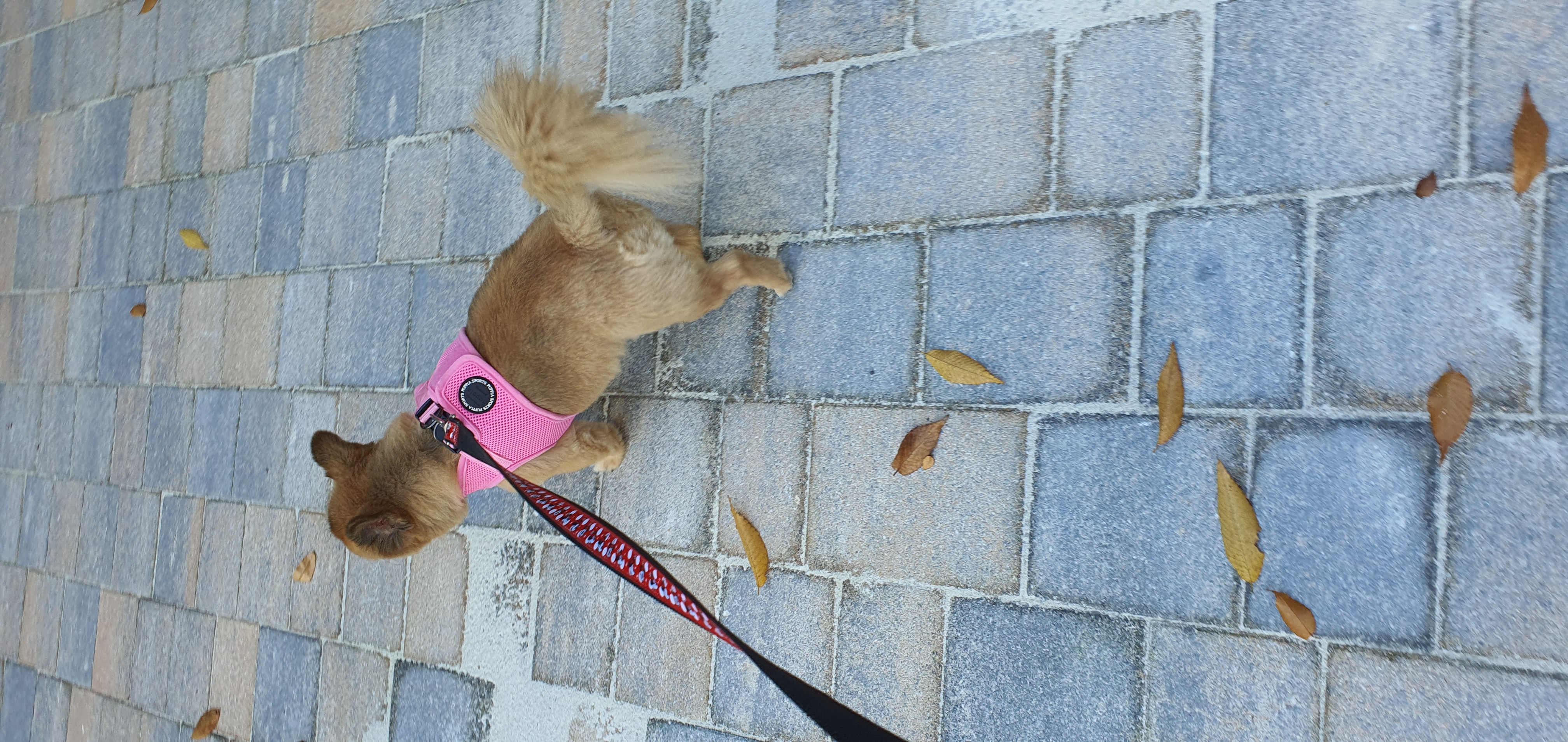 멜론이 3년차  넘깁니다