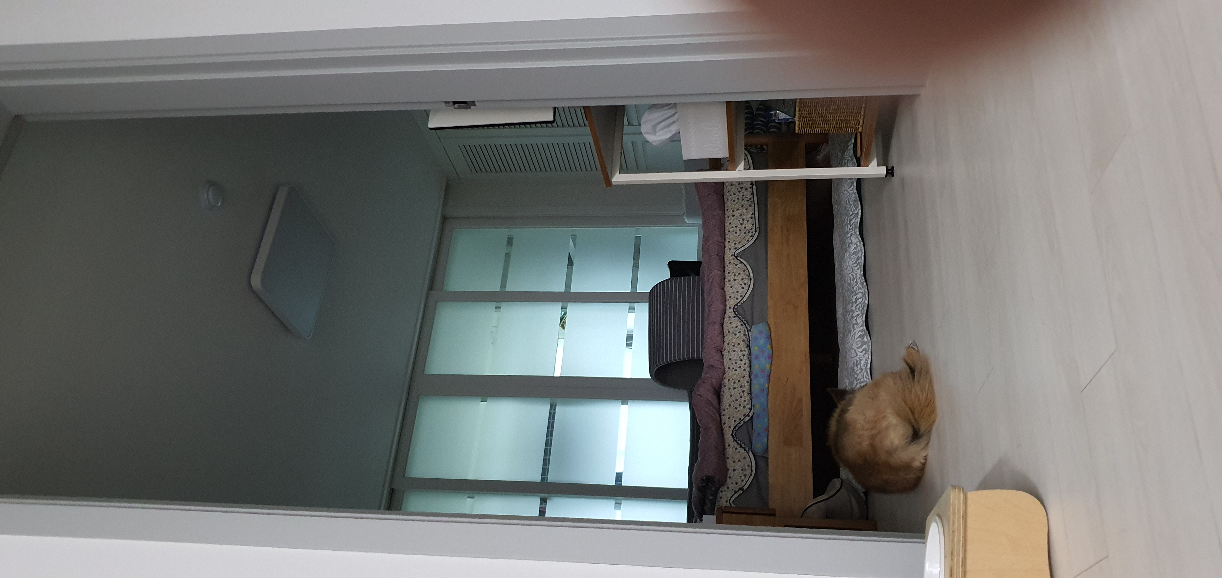 멜론이 3년차  넘깁니다