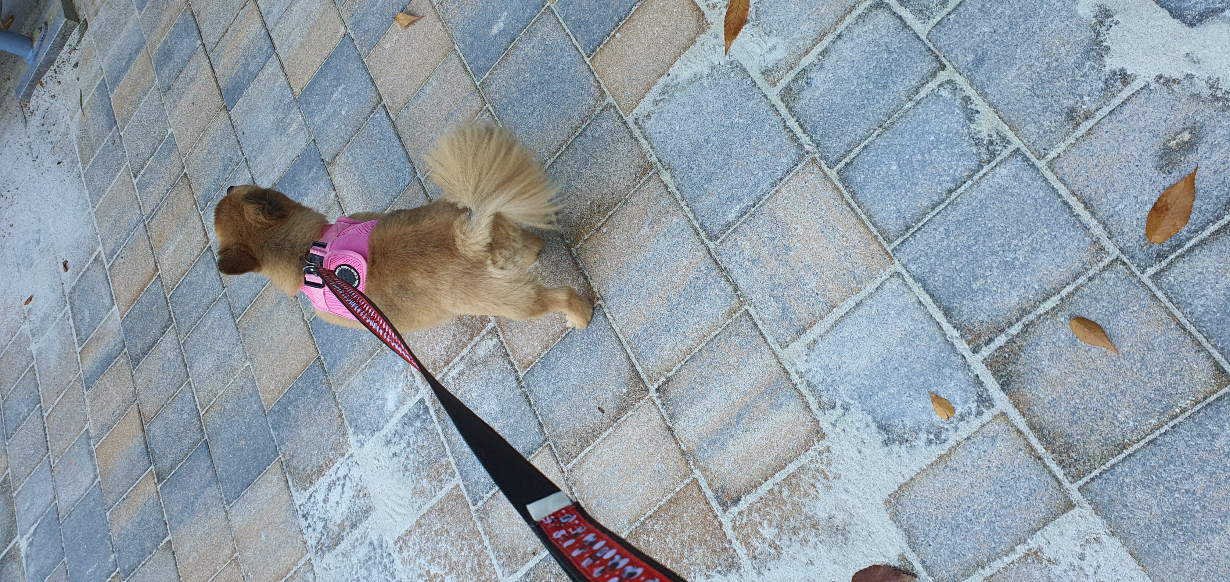 멜론이 3년차  넘깁니다