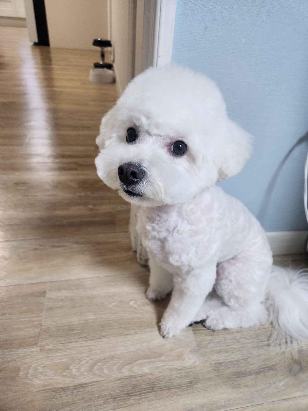 겨울이 (곤지암 하이) 3년 후기