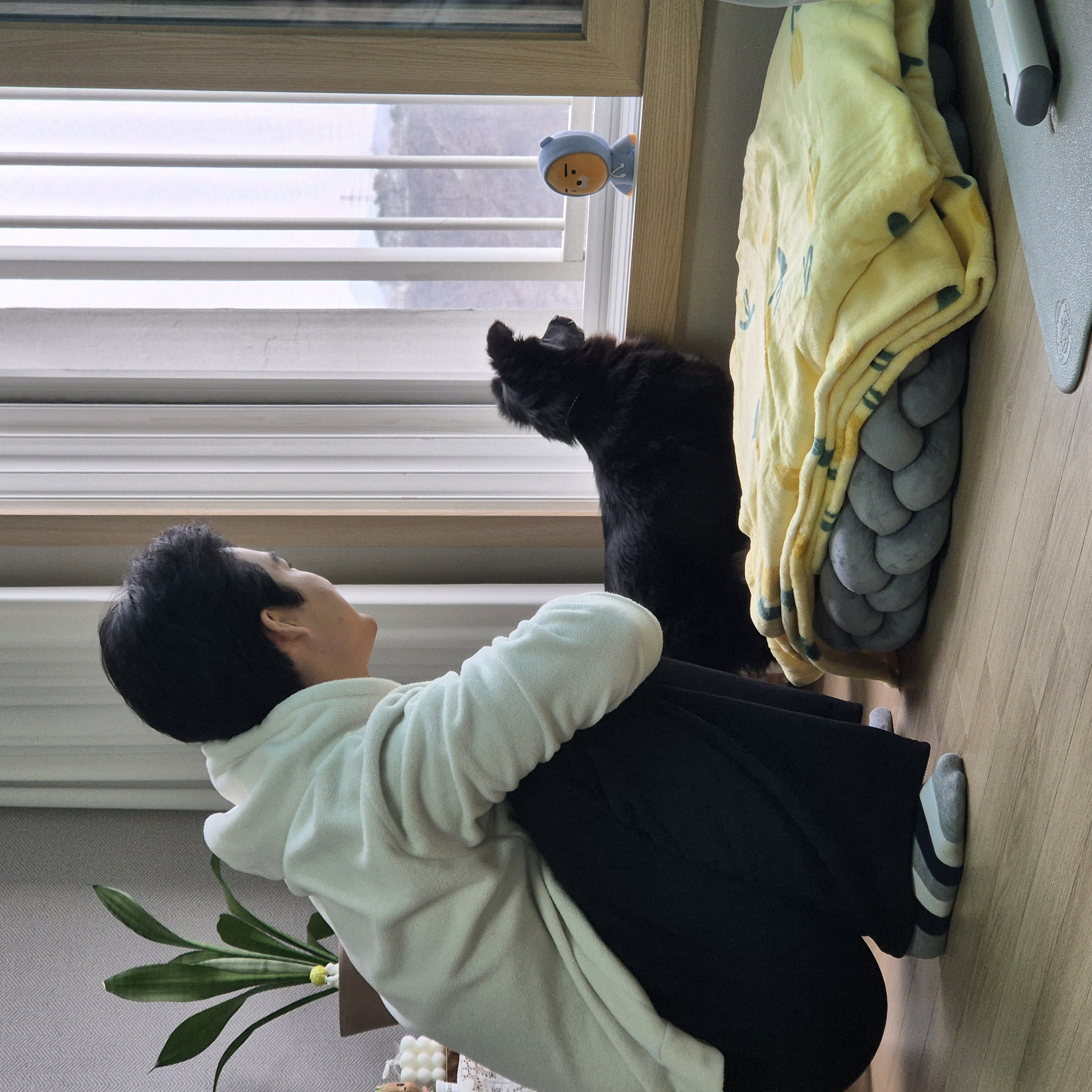 나오미 입양 일주일 후기