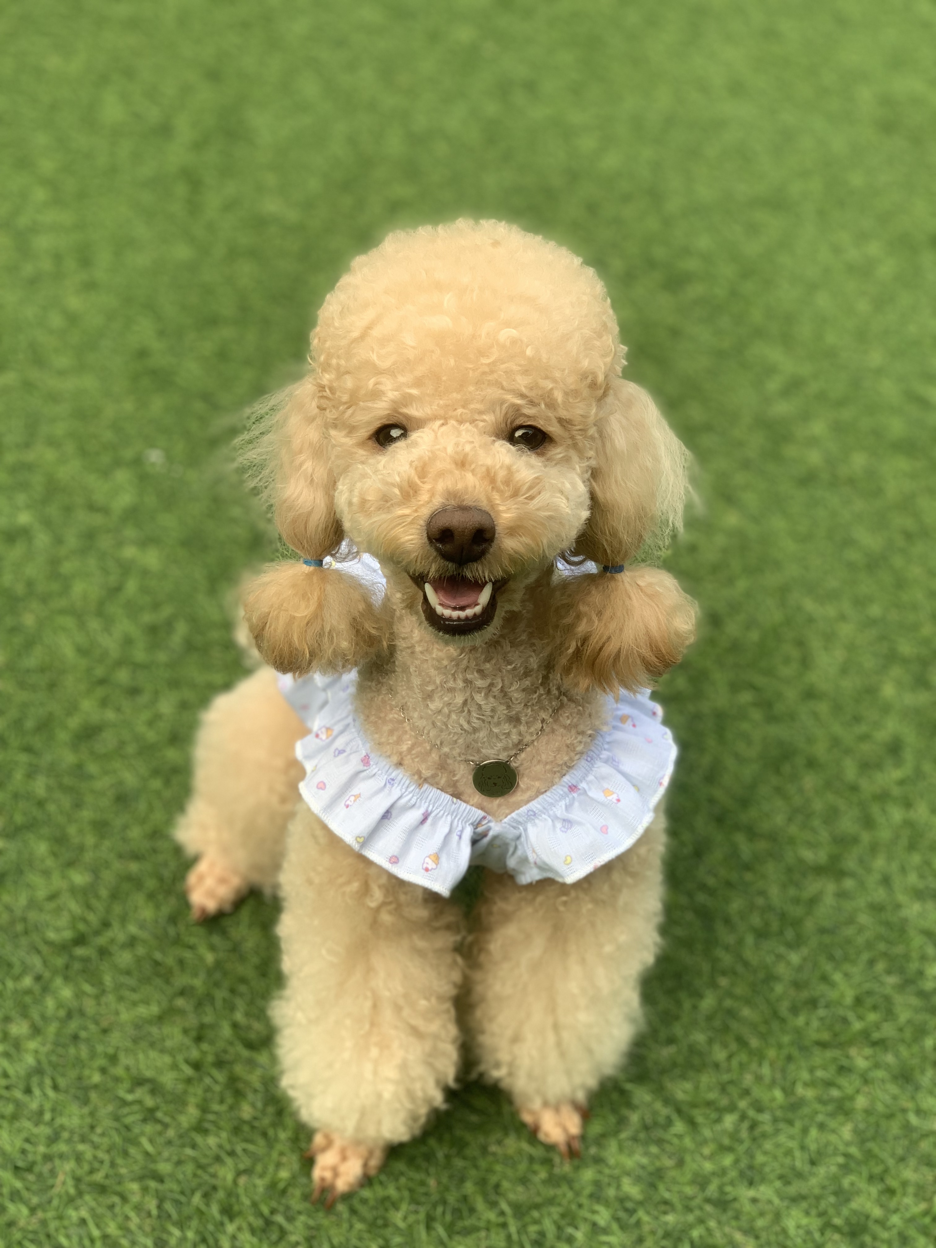 초이(곤지암-해삼)3년의 기록!!