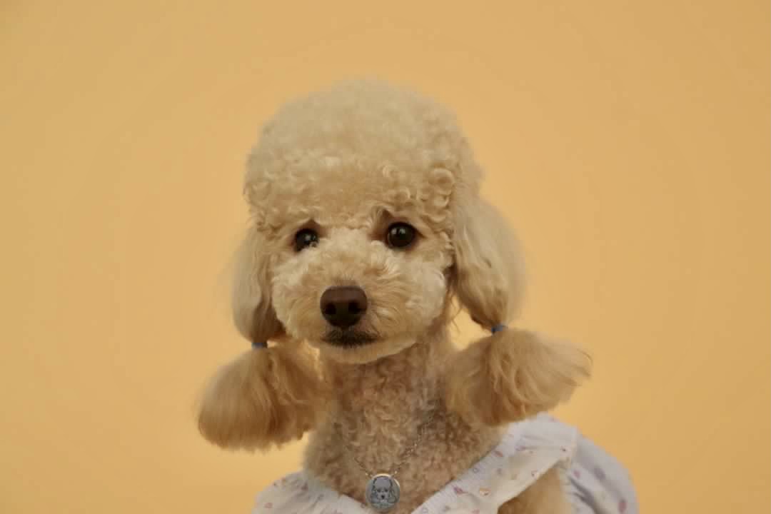 초이(곤지암-해삼)3년의 기록!!