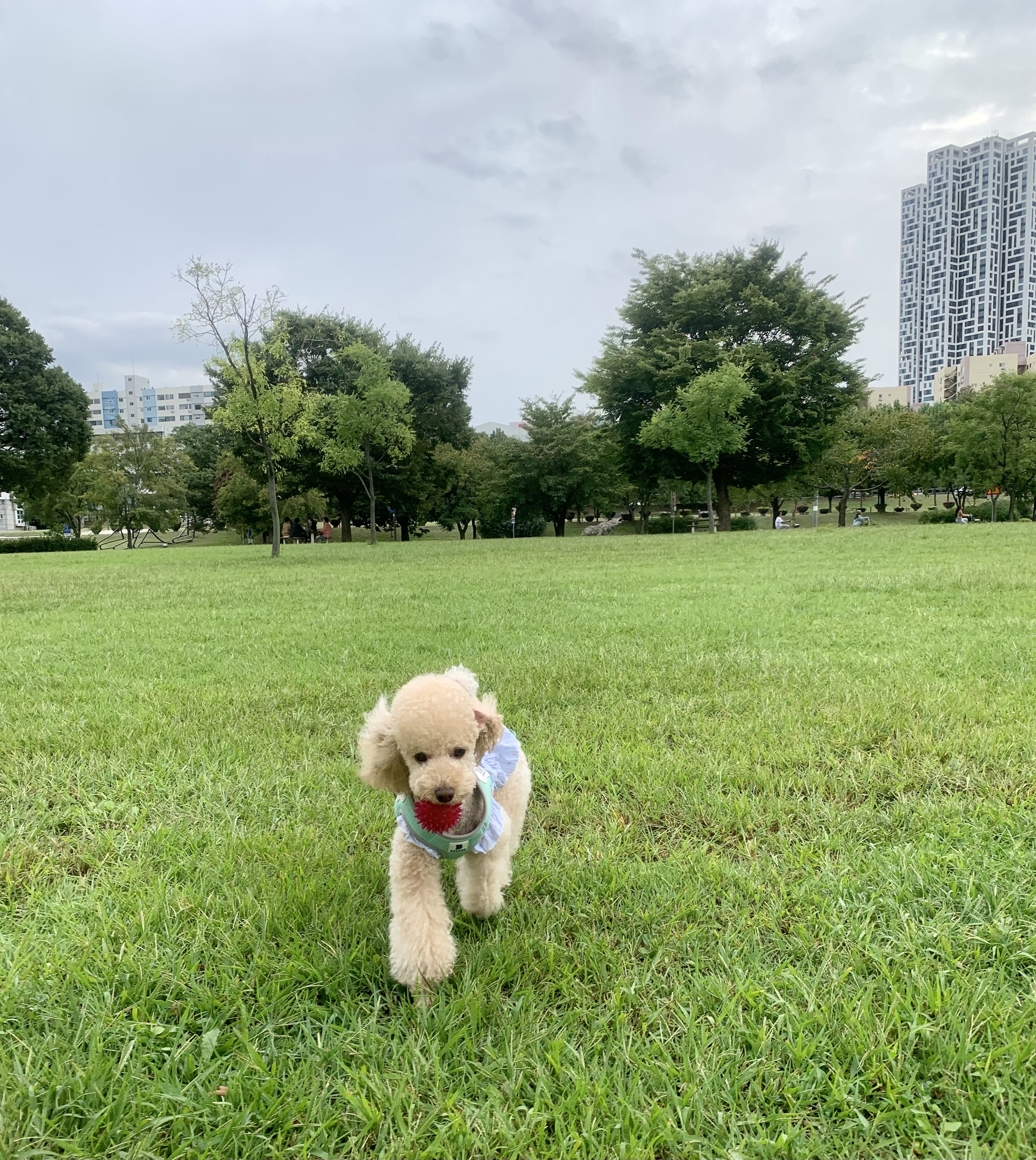 초이(곤지암-해삼)3년의 기록!!
