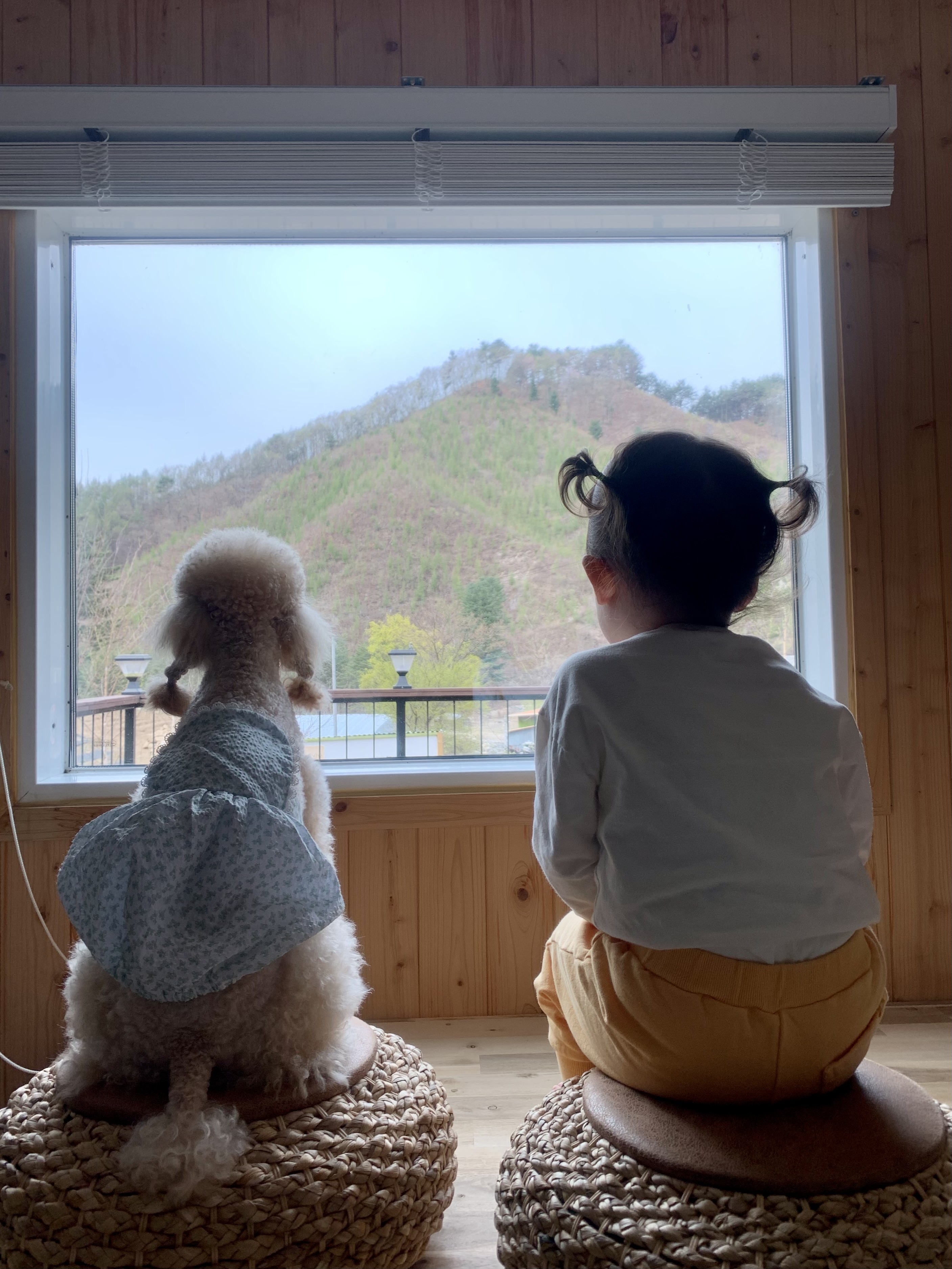 초이(곤지암-해삼)3년의 기록!!