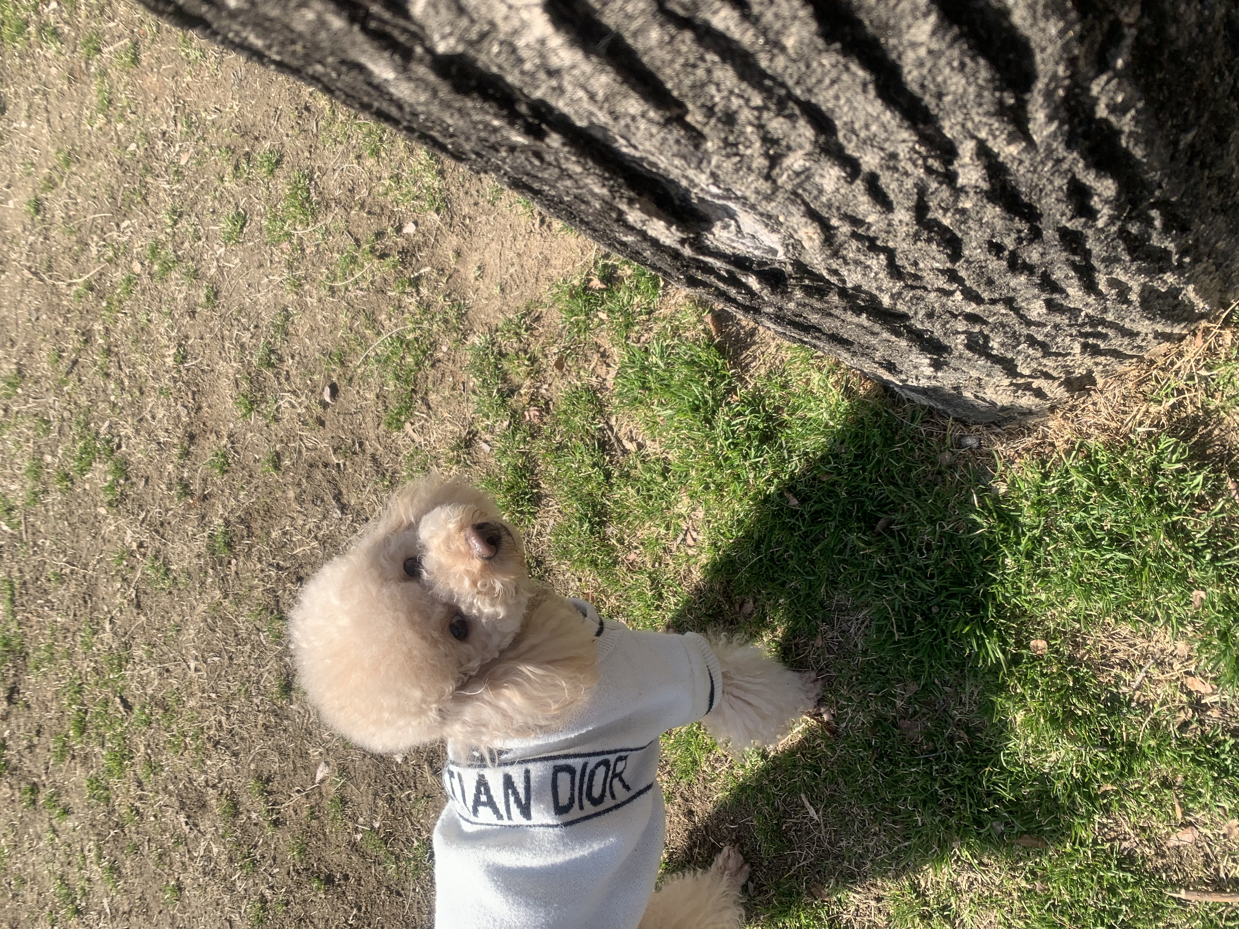 초이(곤지암-해삼)3년의 기록!!