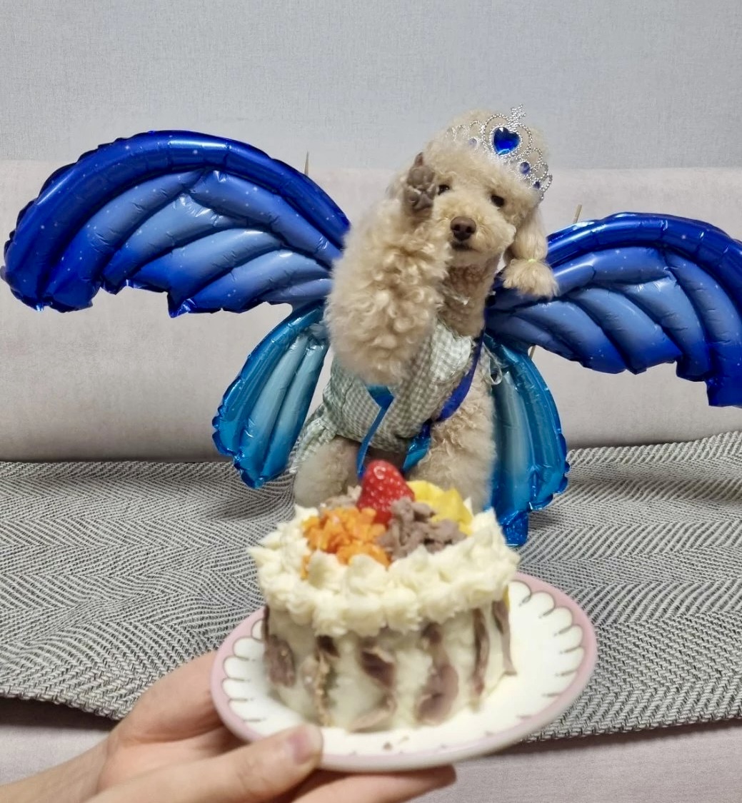 초이(곤지암-해삼)3년의 기록!!