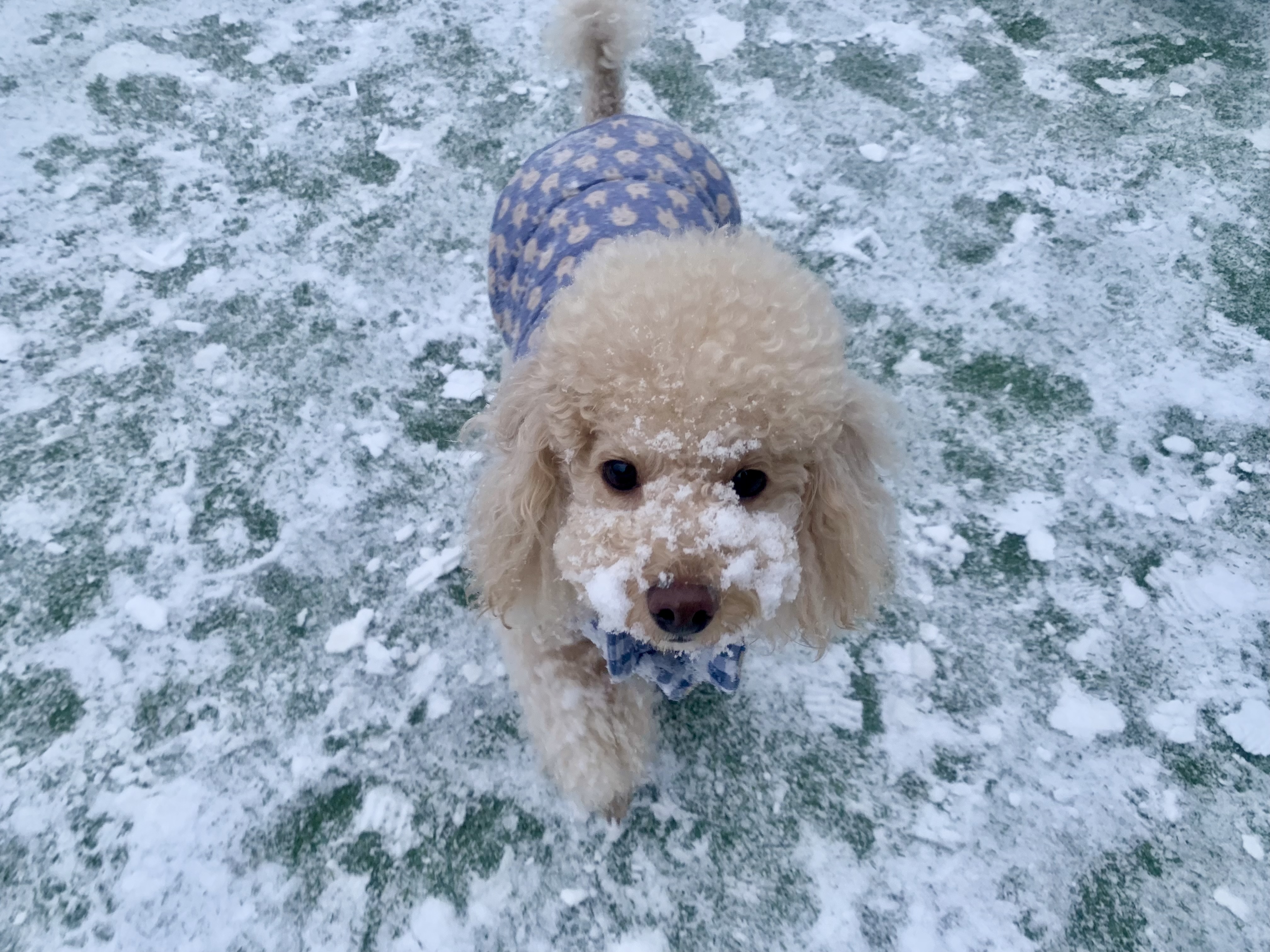 초이(곤지암-해삼)3년의 기록!!