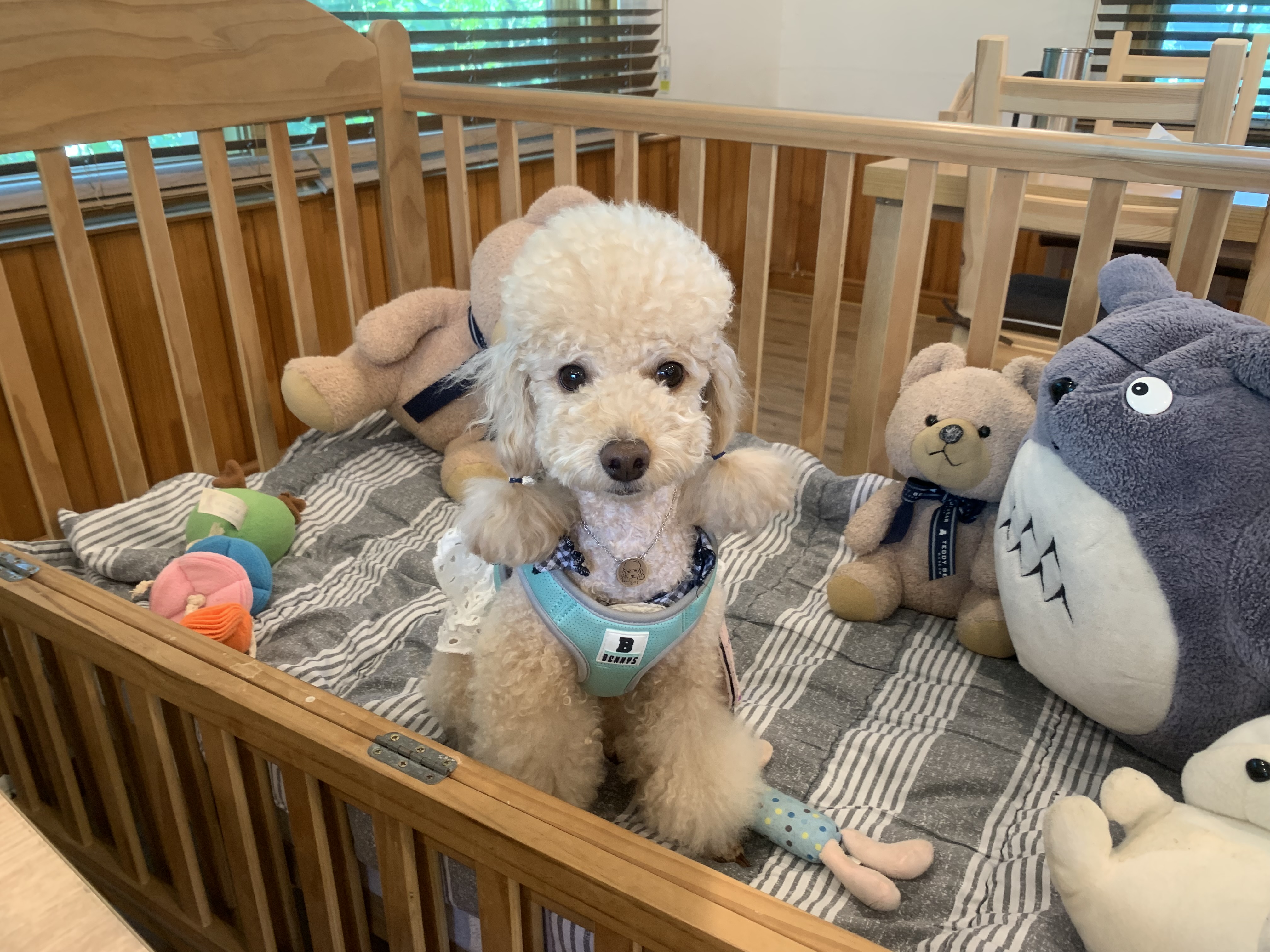 초이(곤지암-해삼)3년의 기록!!