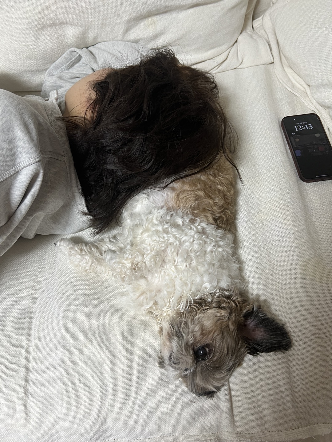 영천이와의 행복한 생활