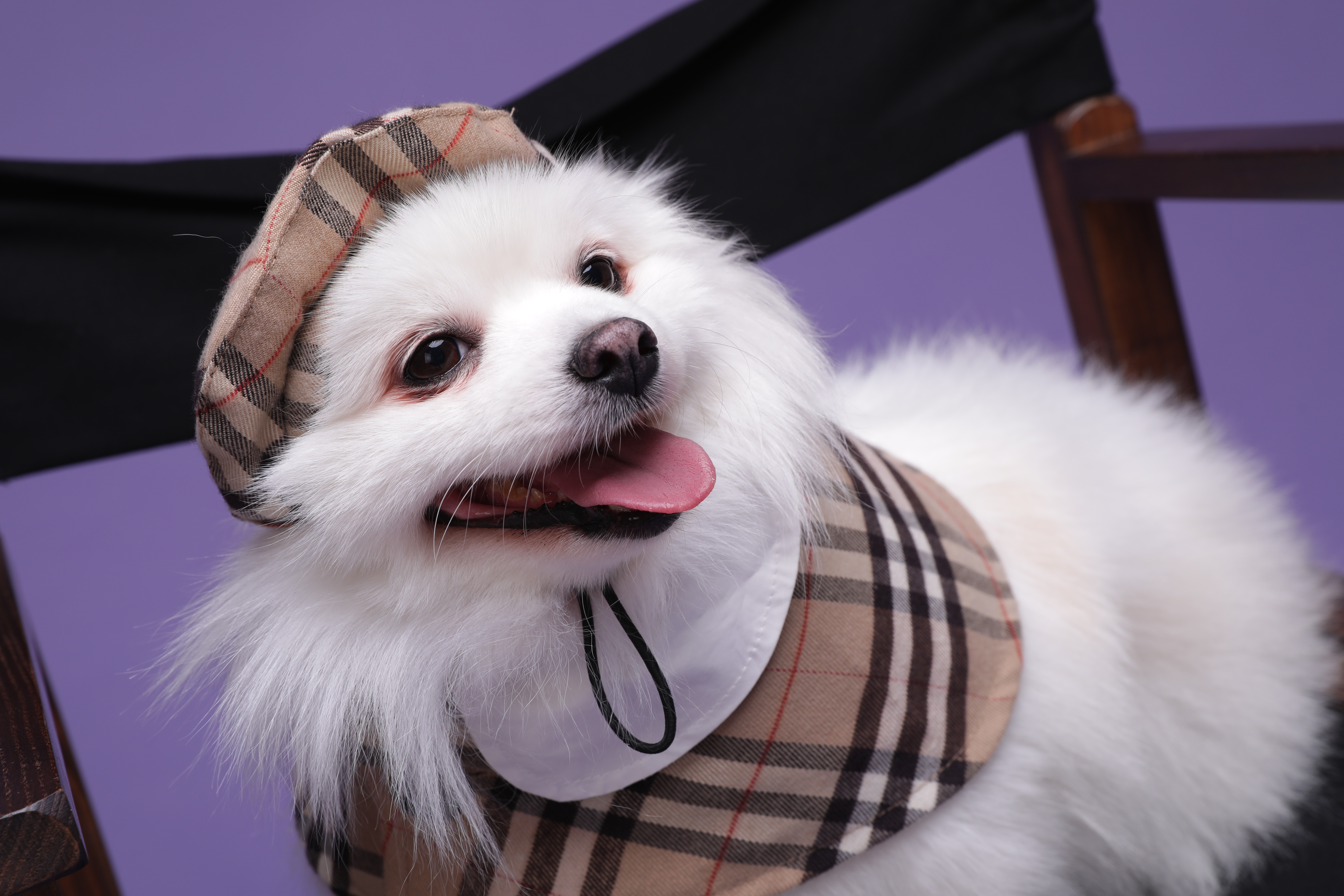 별이 (꽃별) 소식 알려드려요~