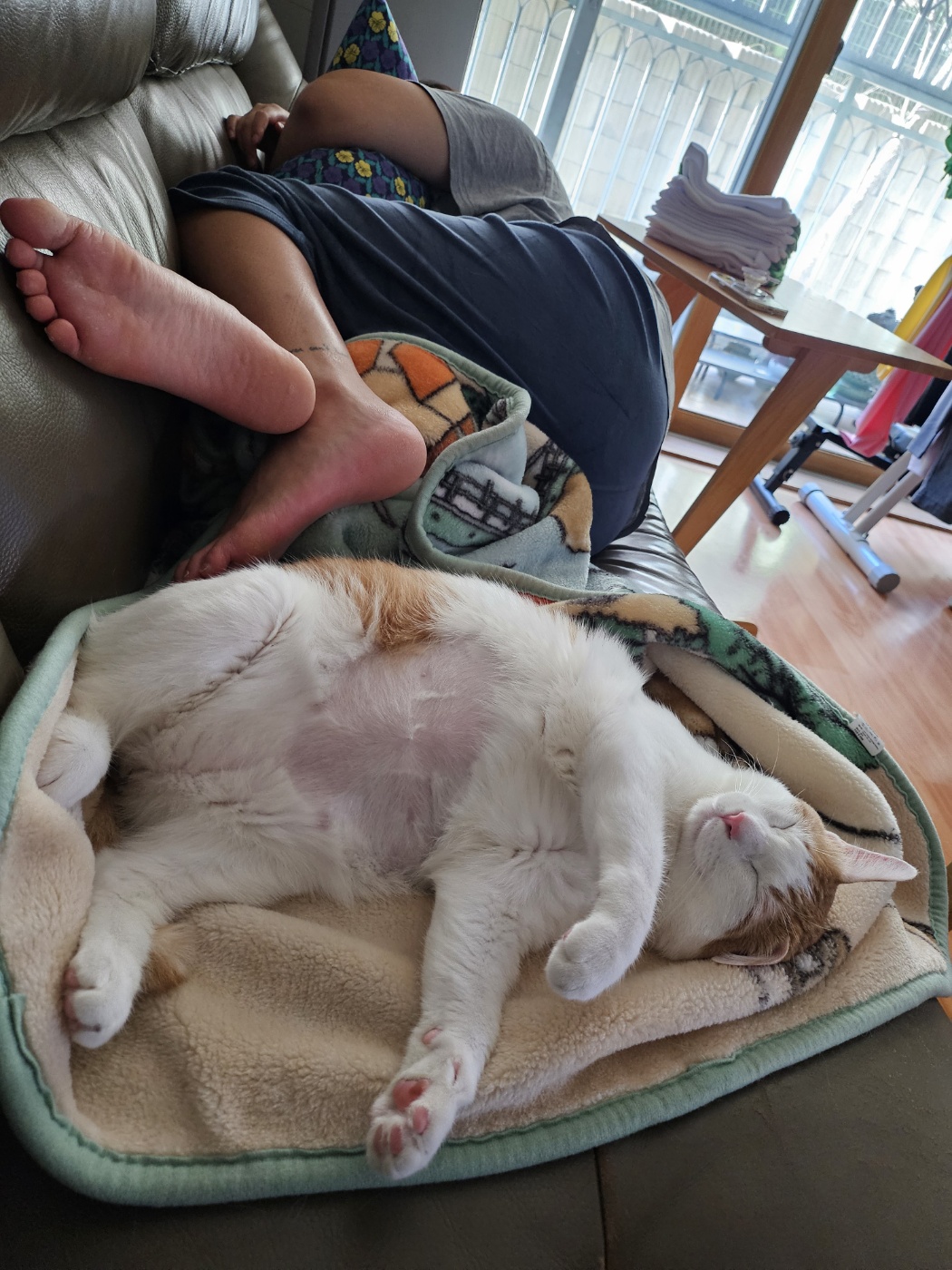 체다의 3년차 일지