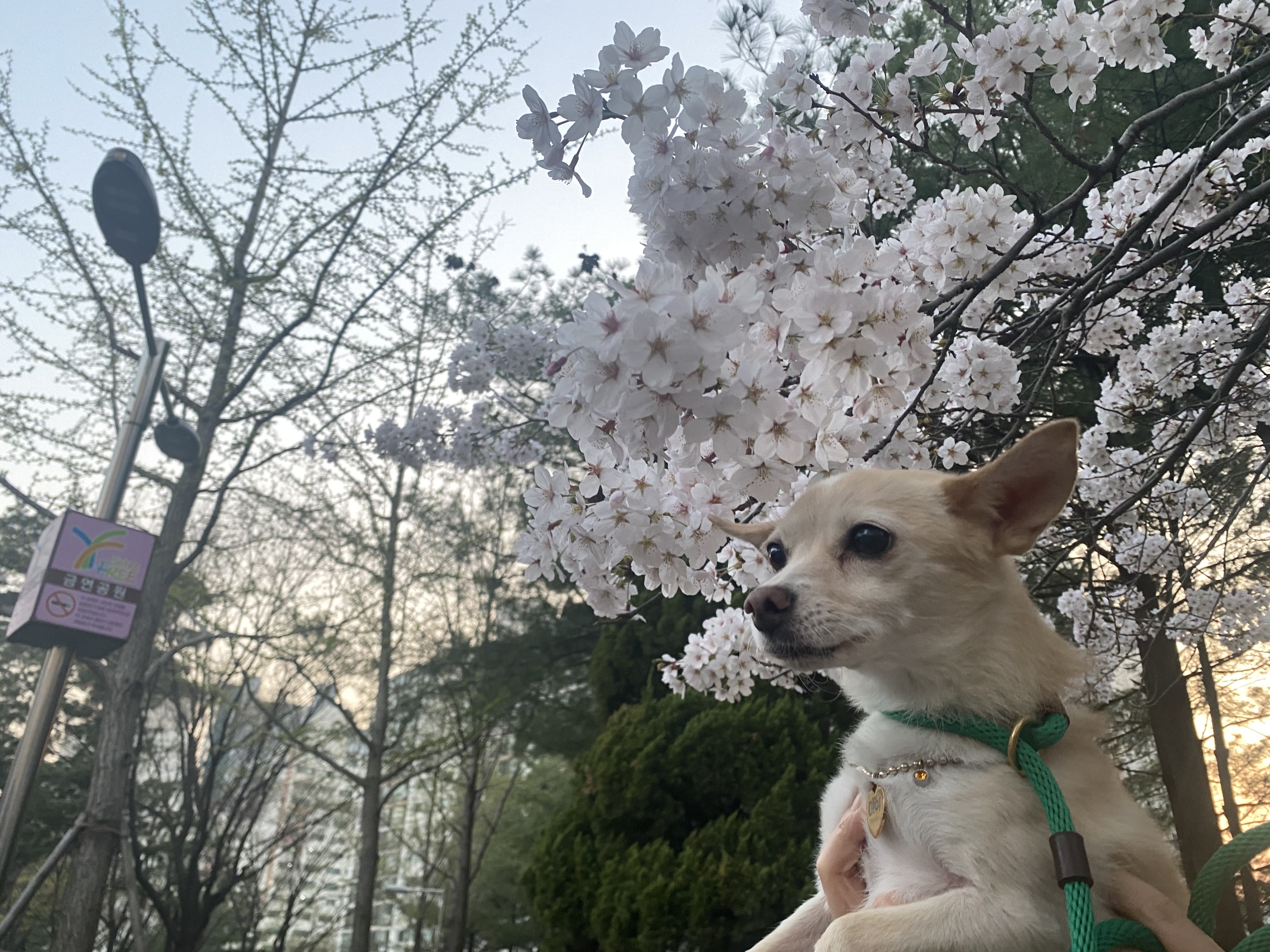 마야랑 보낸 2023