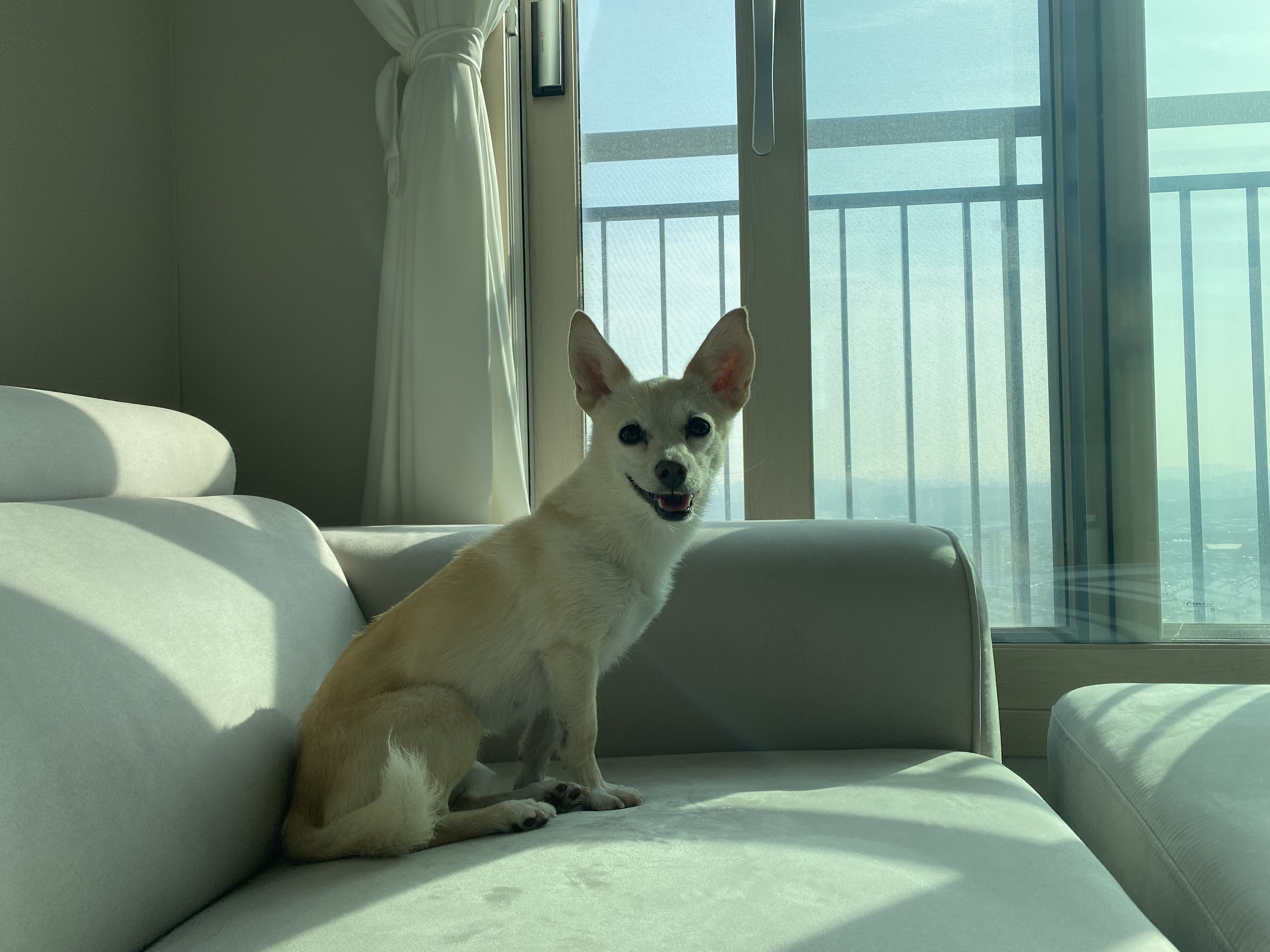 마야랑 보낸 2023