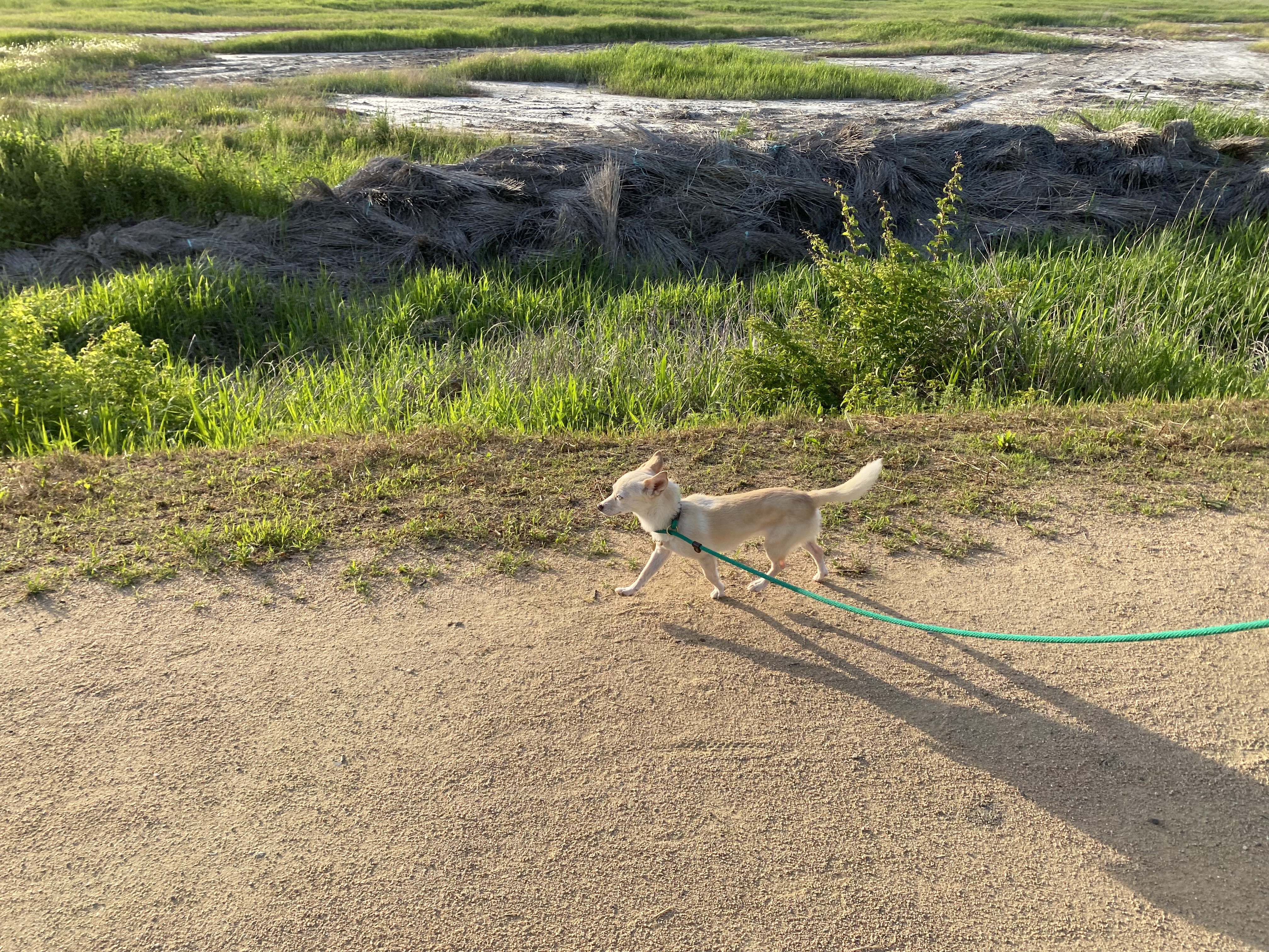 마야랑 보낸 2023