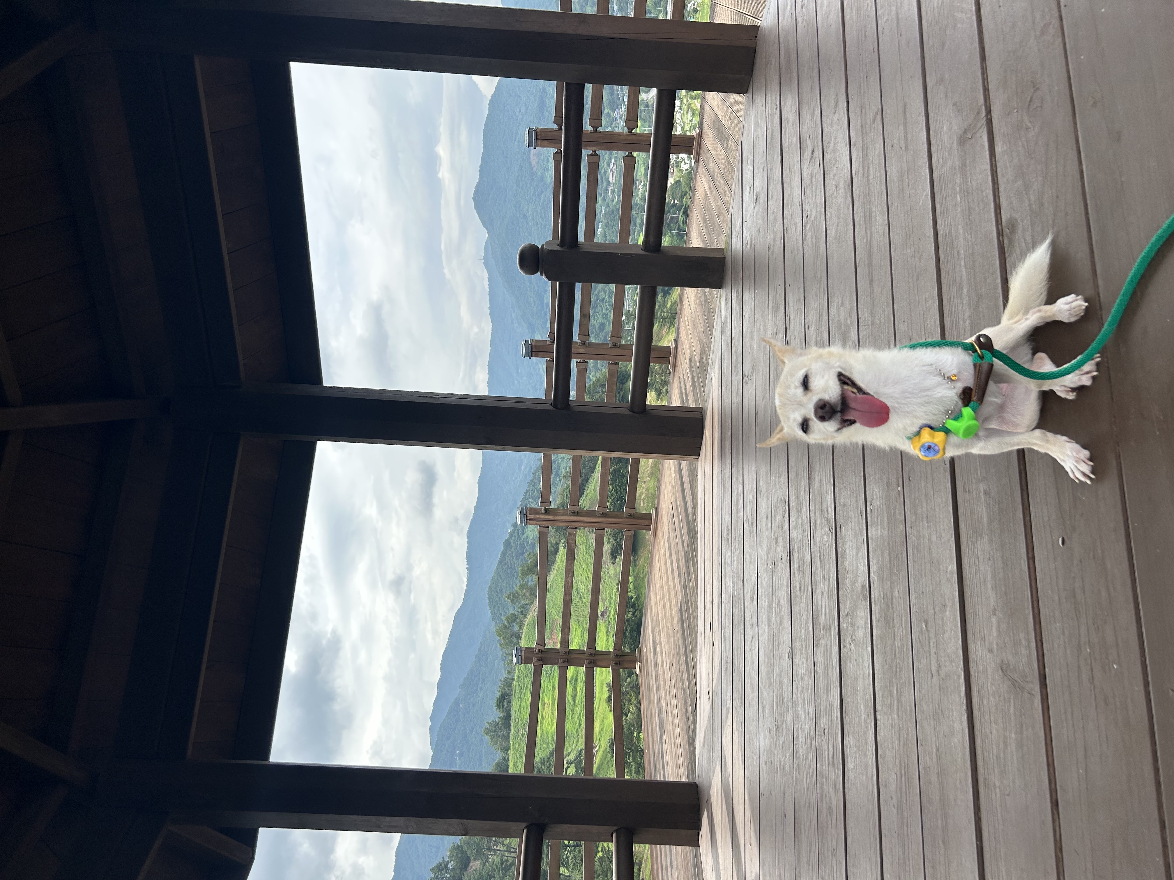 마야랑 보낸 2023