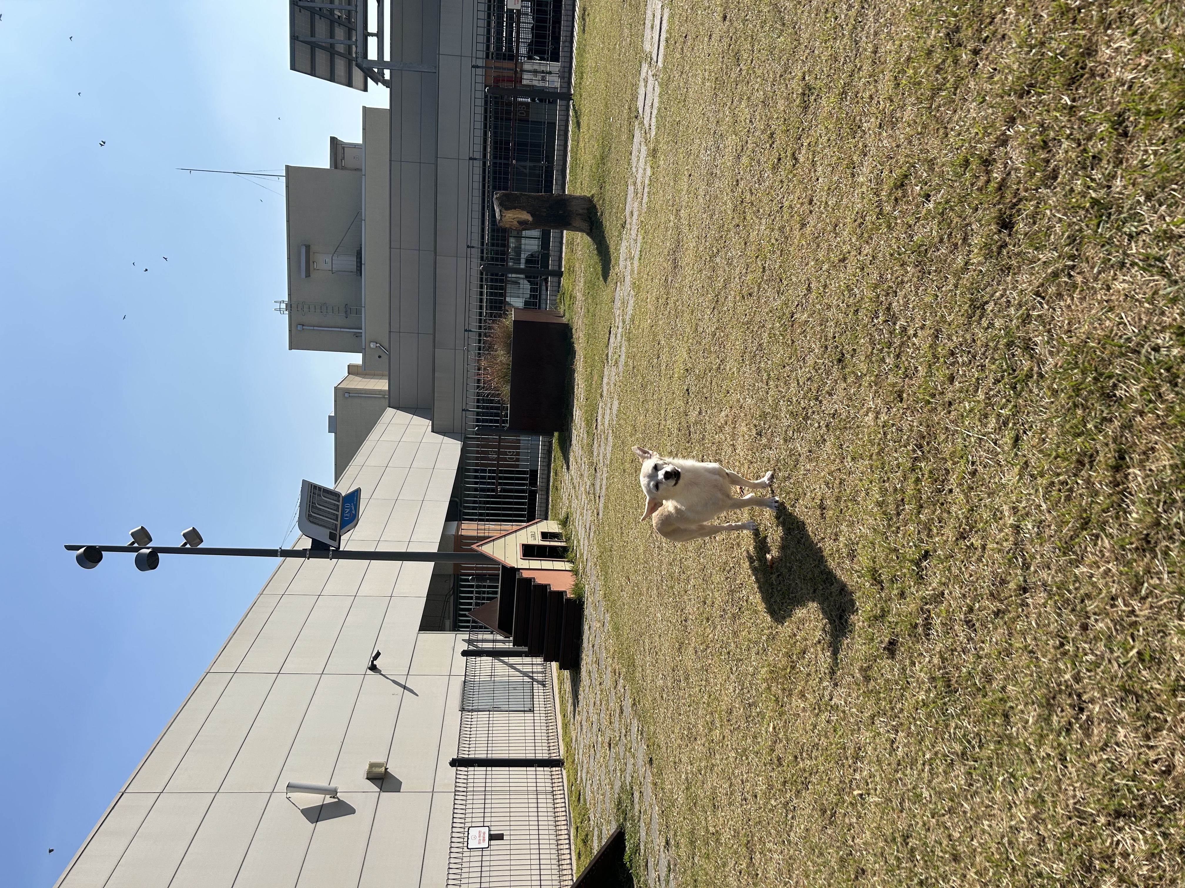 마야랑 보낸 2023