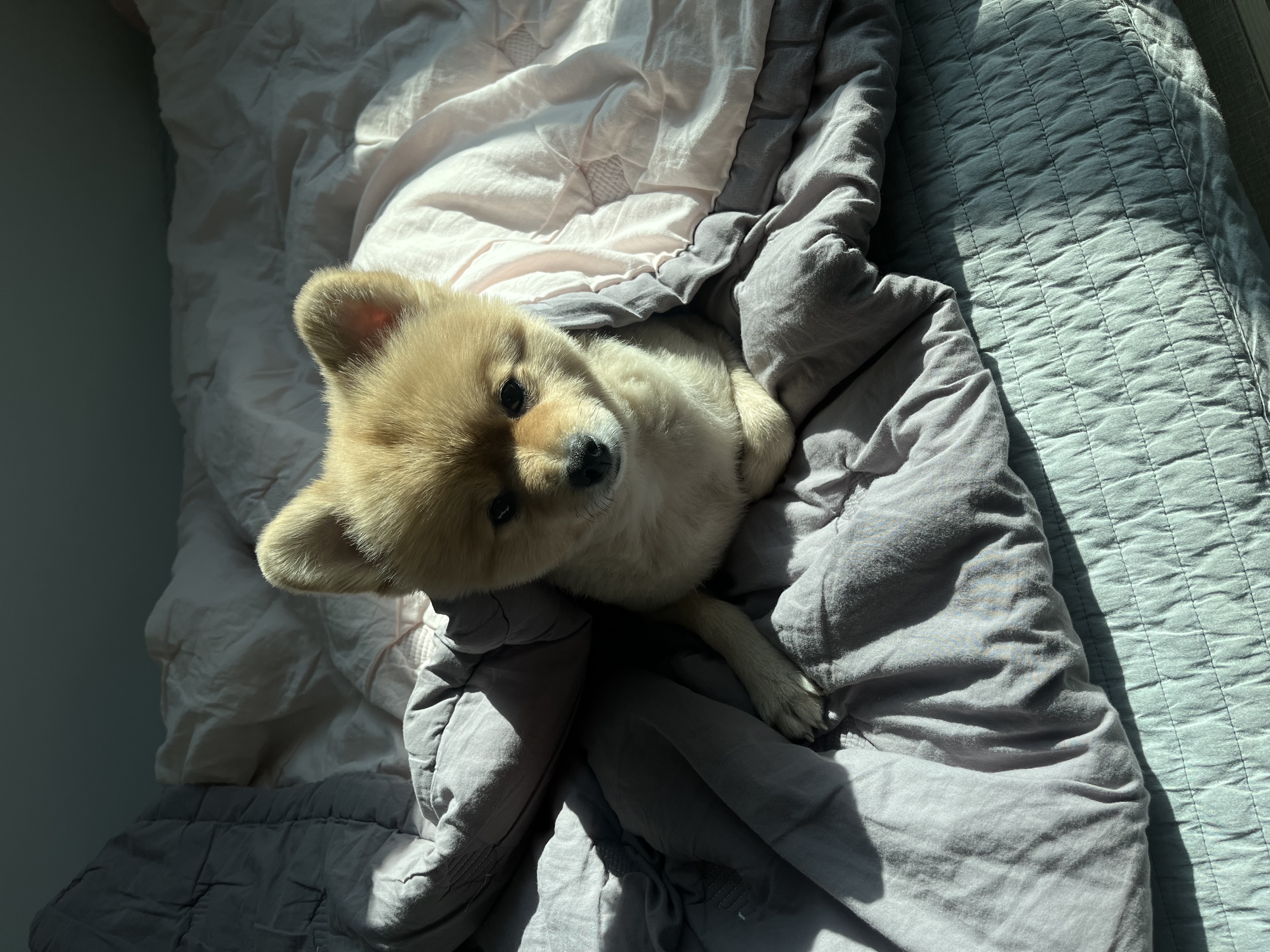 구 곤지암 그일이~ 현 하트❤️