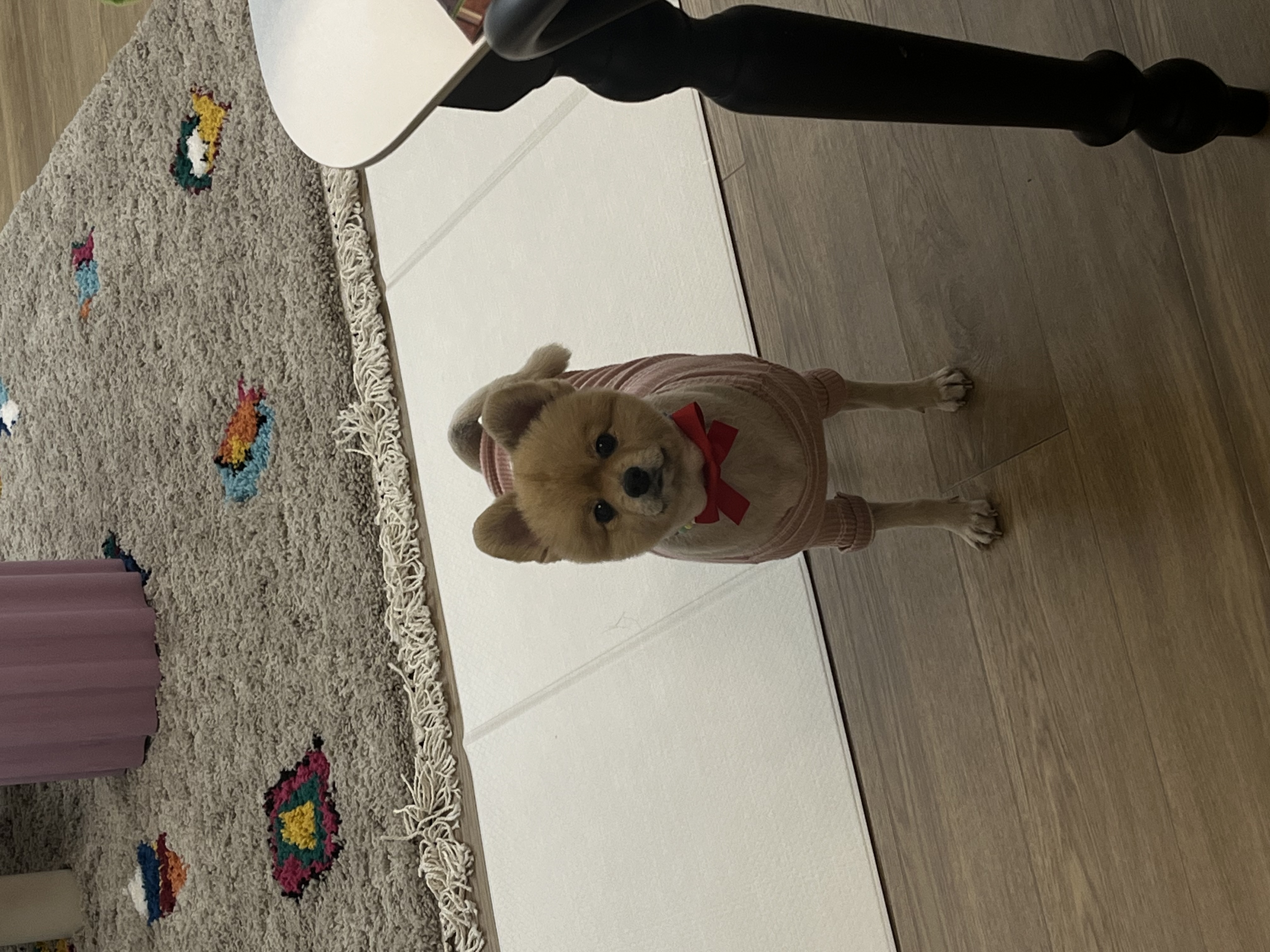 구 곤지암 그일이~ 현 하트❤️