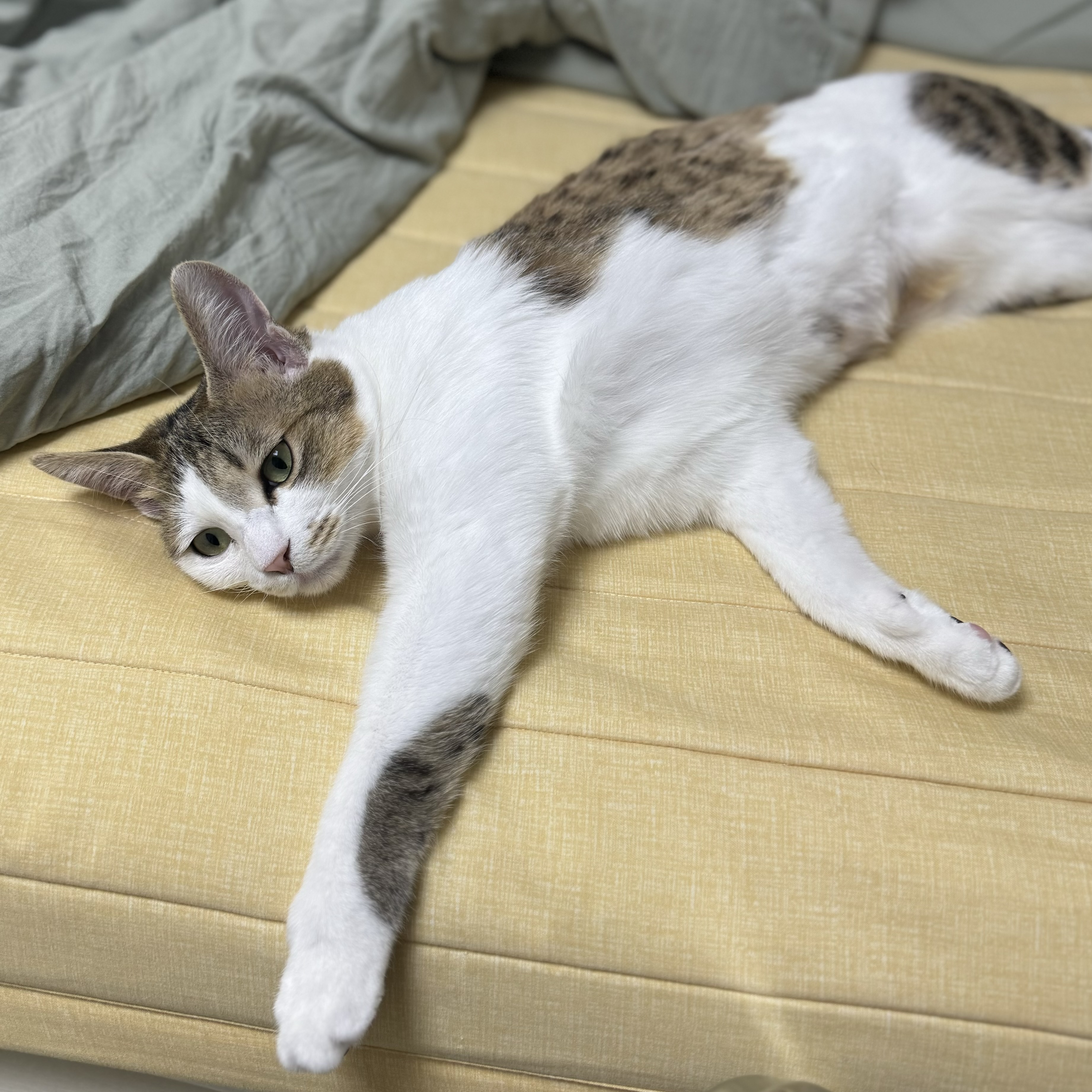 (이튼이) 로지와 3개월