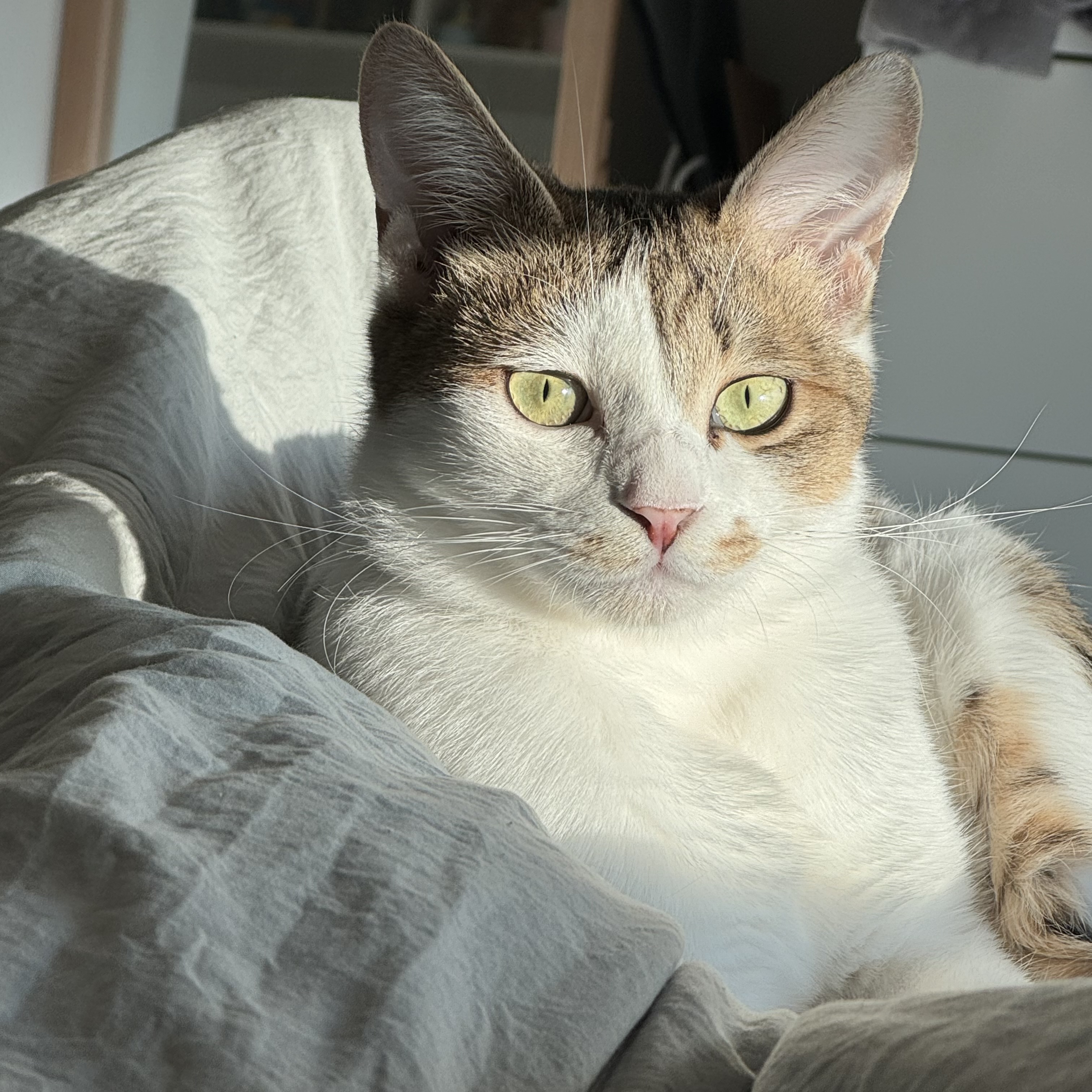 (이튼이) 로지와 3개월