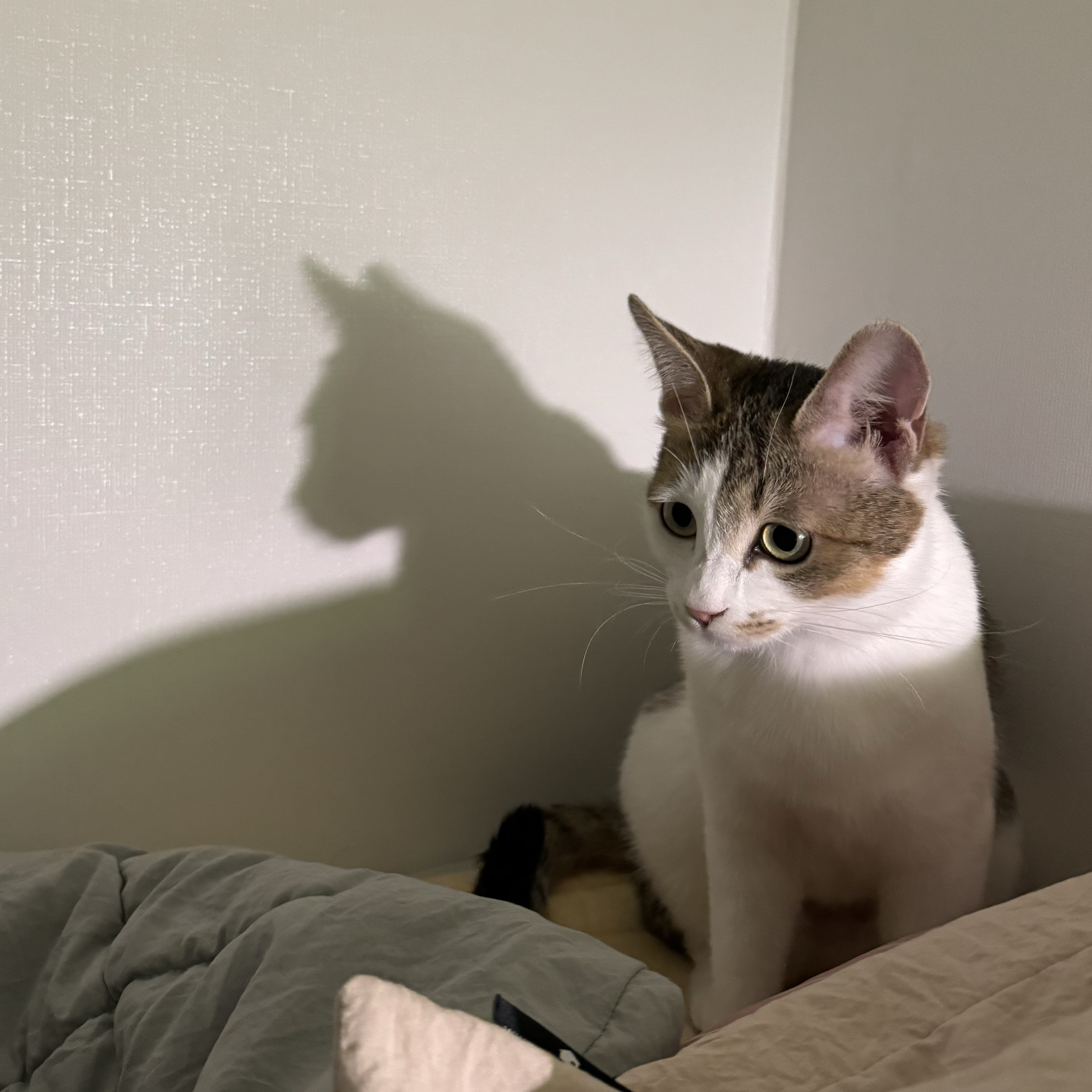 (이튼이) 로지와 3개월