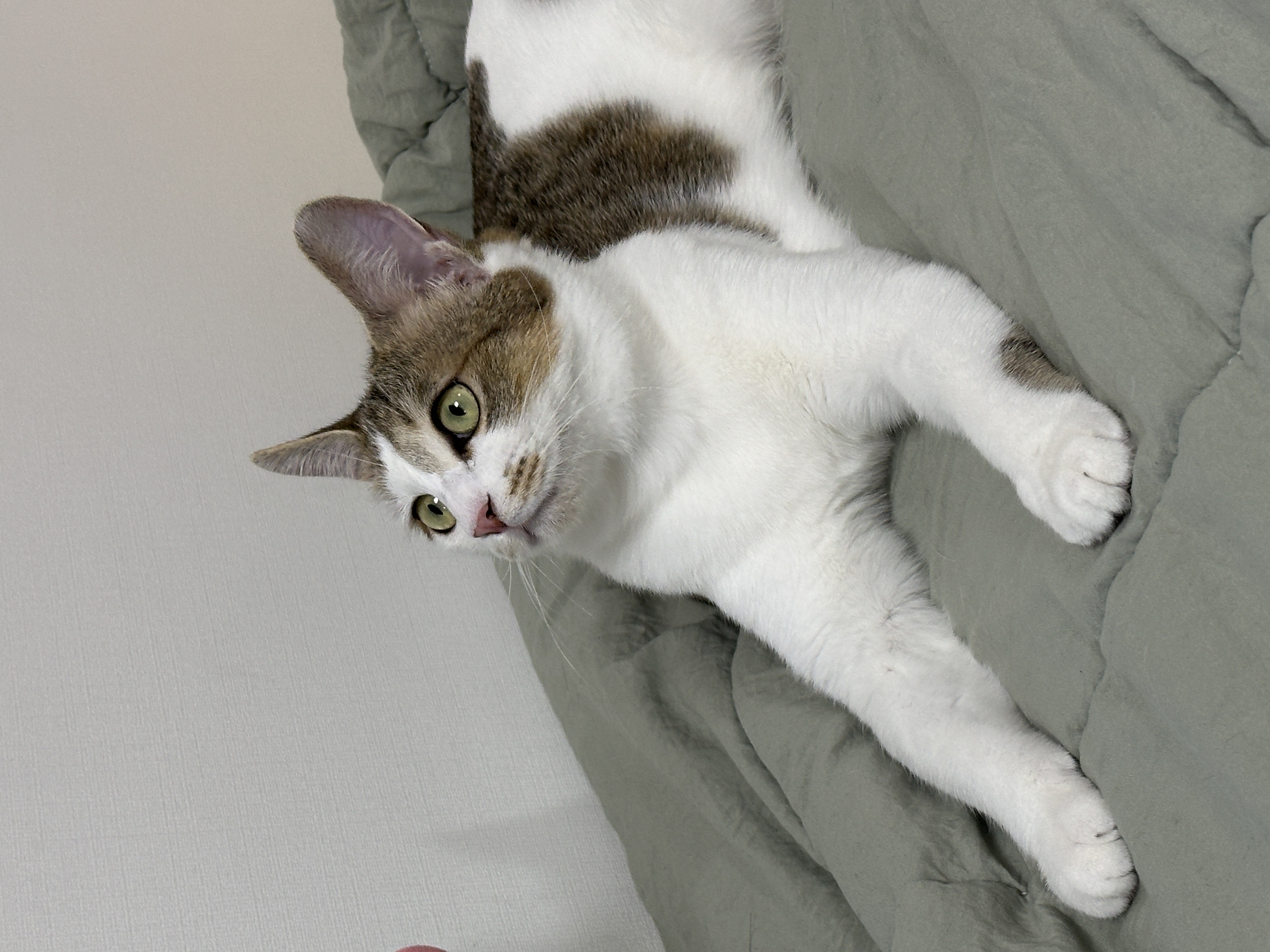 (이튼이) 로지와 3개월