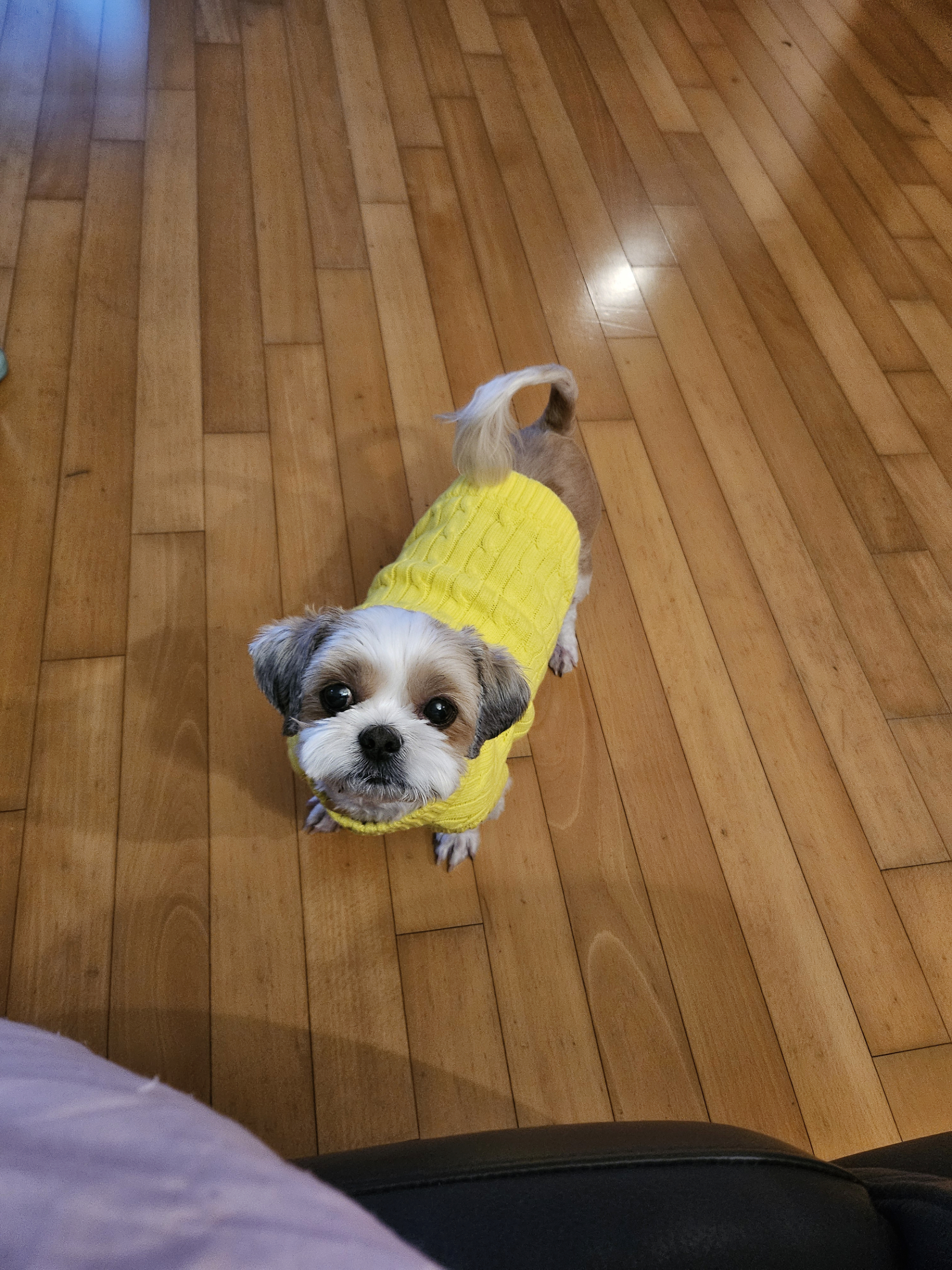 (에밀리_양구28) 튼튼이 삼개월차 후기