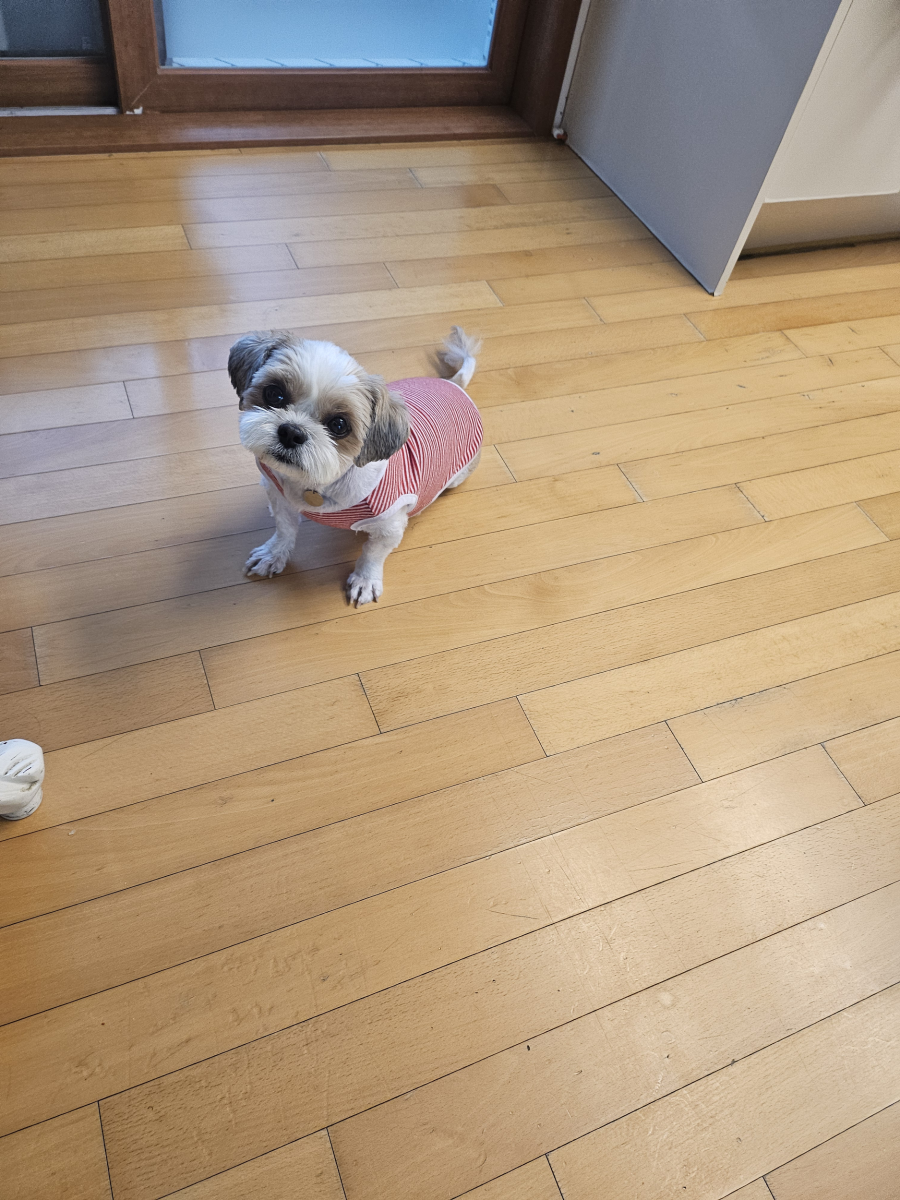 (에밀리_양구28) 튼튼이 삼개월차 후기