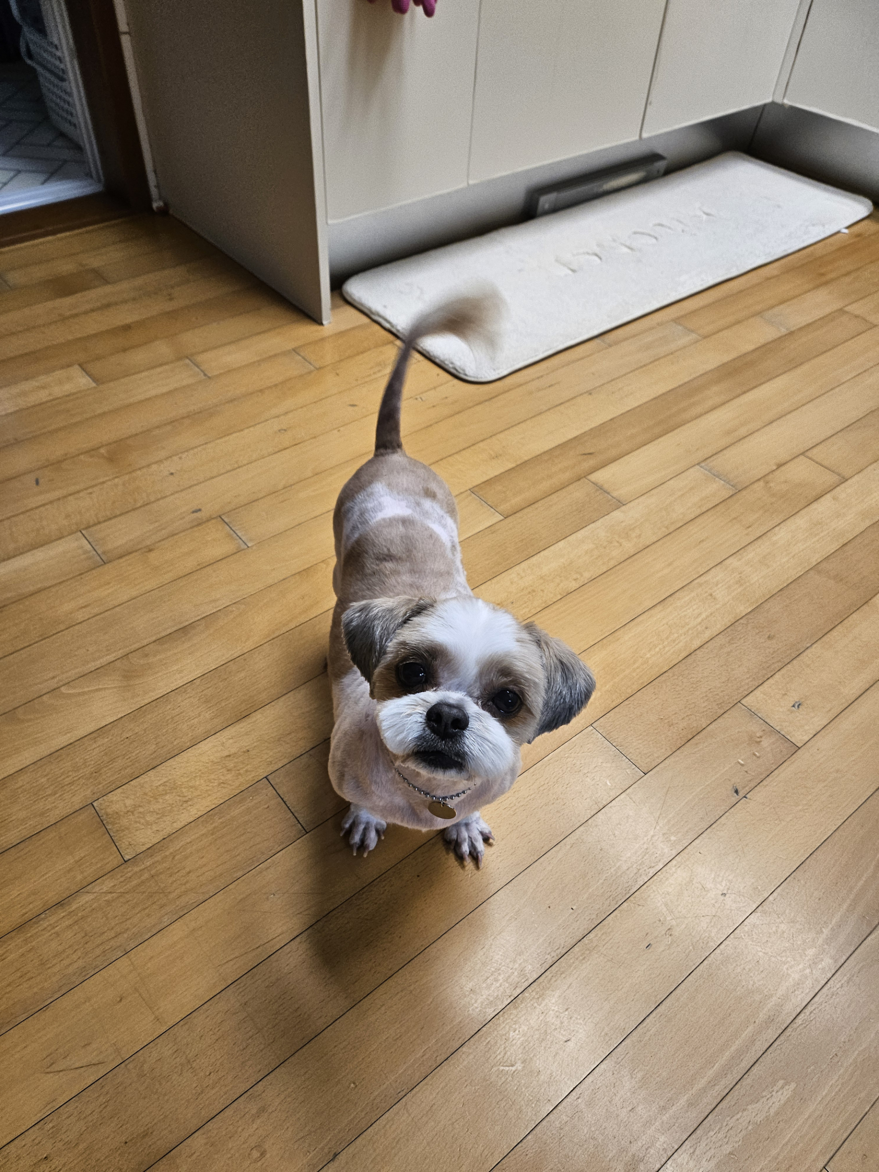 (에밀리_양구28) 튼튼이 삼개월차 후기