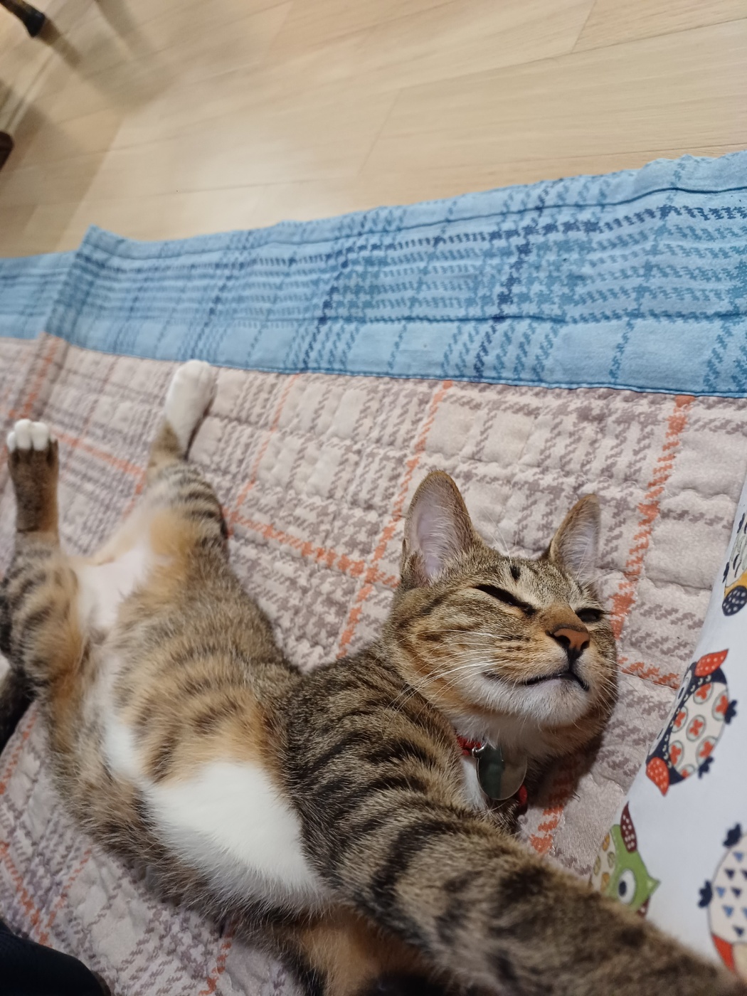 신출귀몰 길동이(승희)가 온지 5개월이 되었네요