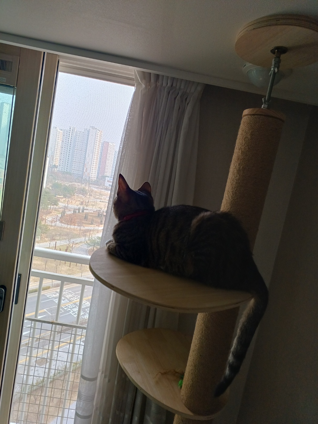 신출귀몰 길동이(승희)가 온지 5개월이 되었네요