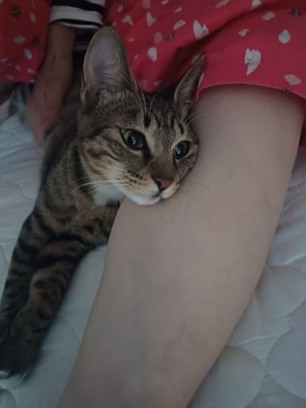 신출귀몰 길동이(승희)가 온지 5개월이 되었네요