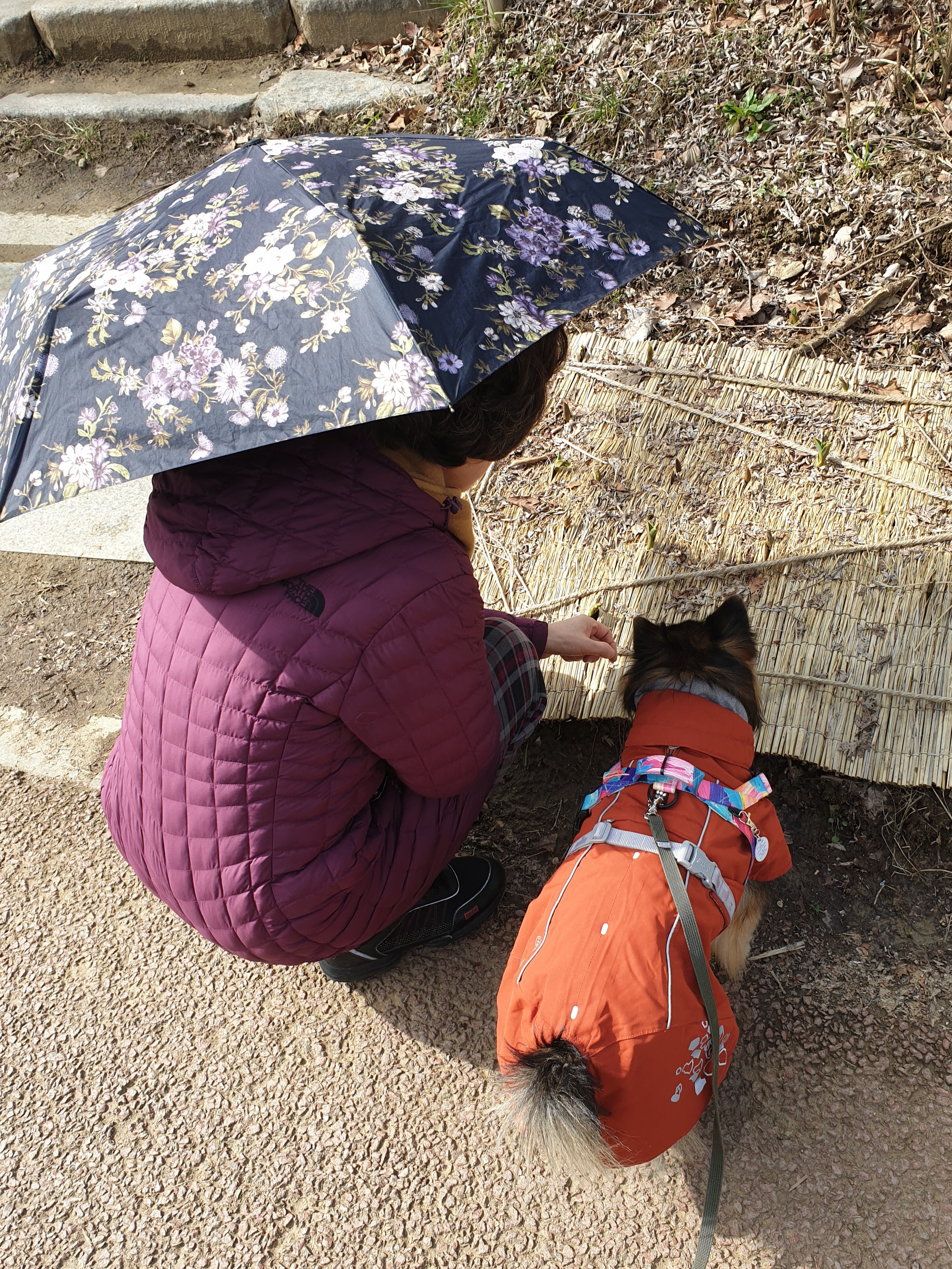 베를린 입양 14주년이 됐어요
