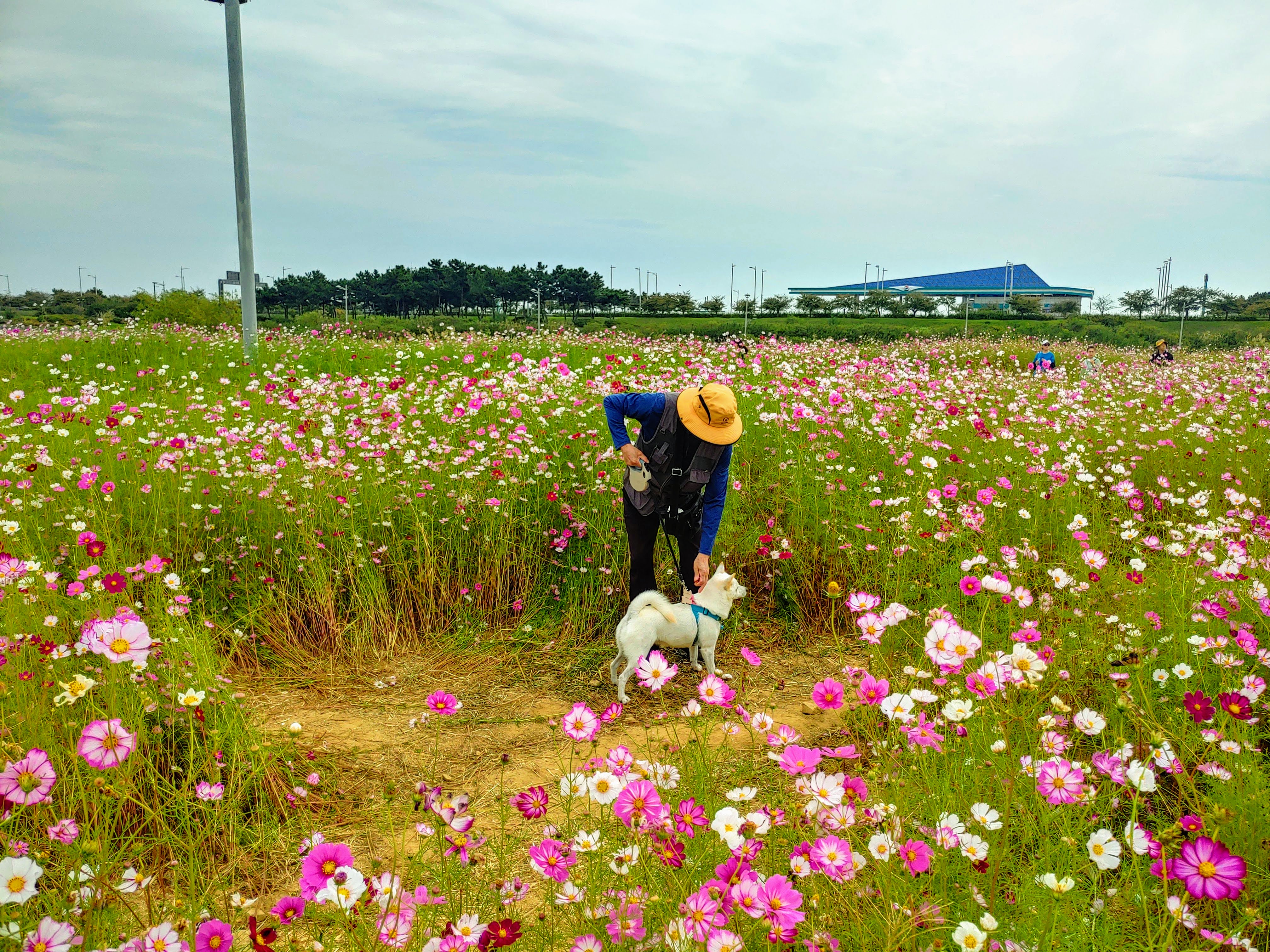 하늘이 입양 후기 3년차(옛날이름 엘리나)
