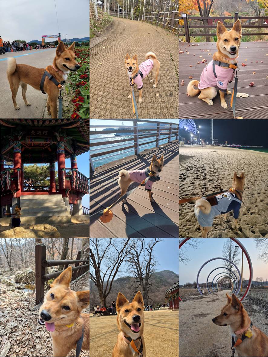 호두(구.오트) 1년 이야기